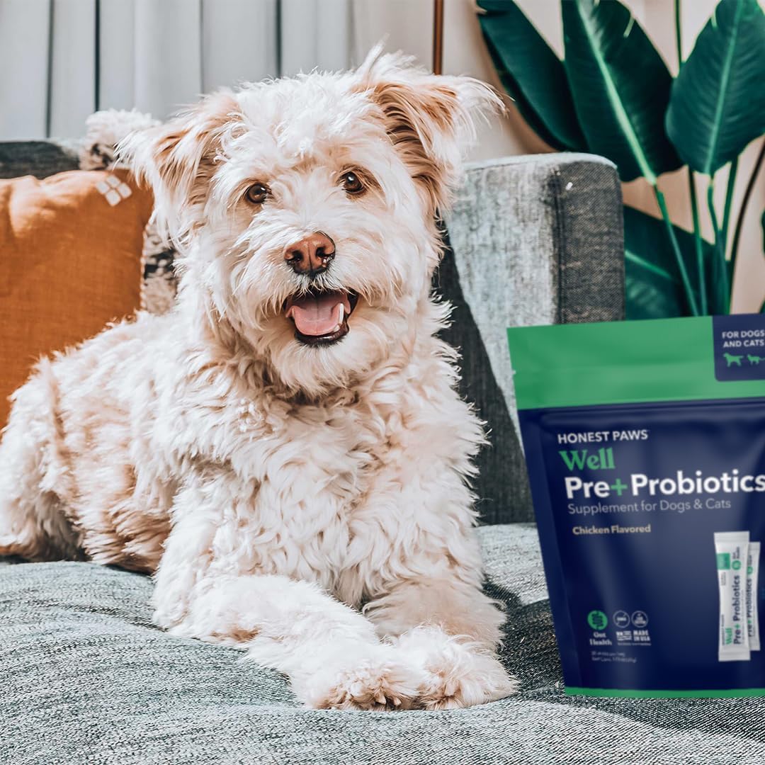 Chicken Flavored Probiotic Powder for Dogs - Supports Digestion & Immune Health with Prebiotic, Made in USA (30 Sticks) - BoostGo Australia