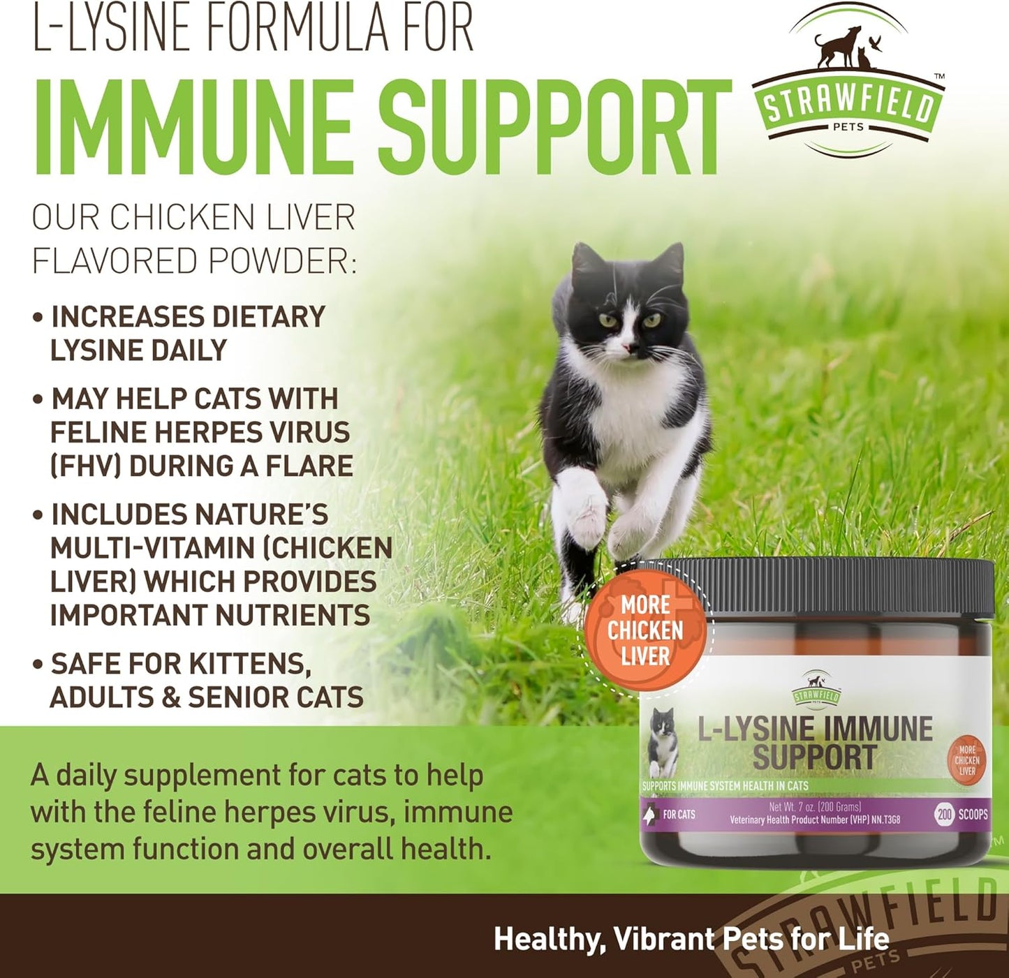 Chicken Liver Flavored L-Lysine Granules for Cats - 200g Immune Support Supplement for Cold Relief, Sneezing, Congestion, and Watery Eyes
