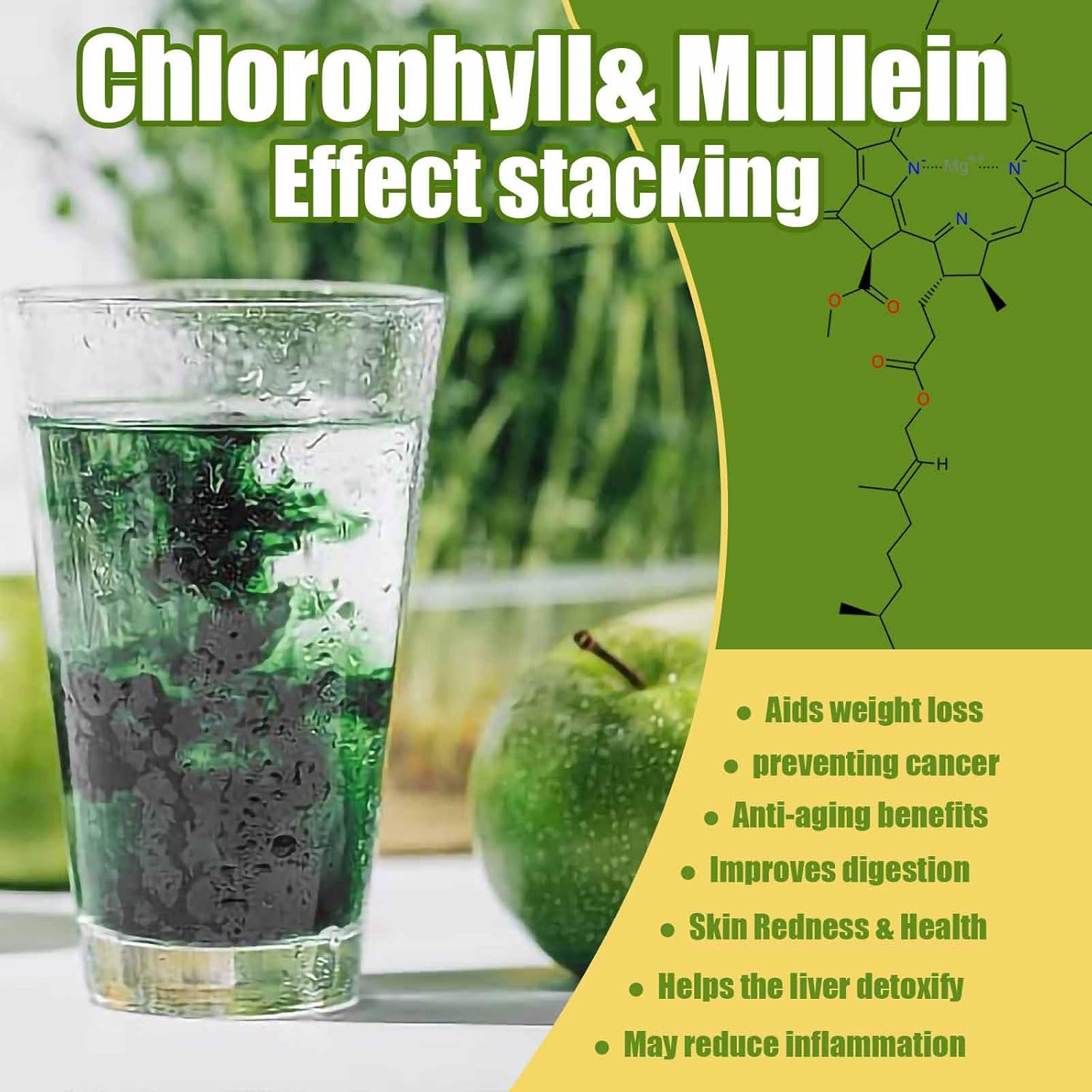 Chlorophyll & Mullein Leaf Extract for Lung Cleanse & Healthy Breathing - Natural Tincture Drops, Non-GMO, Vegetarian - 1 Month Supply