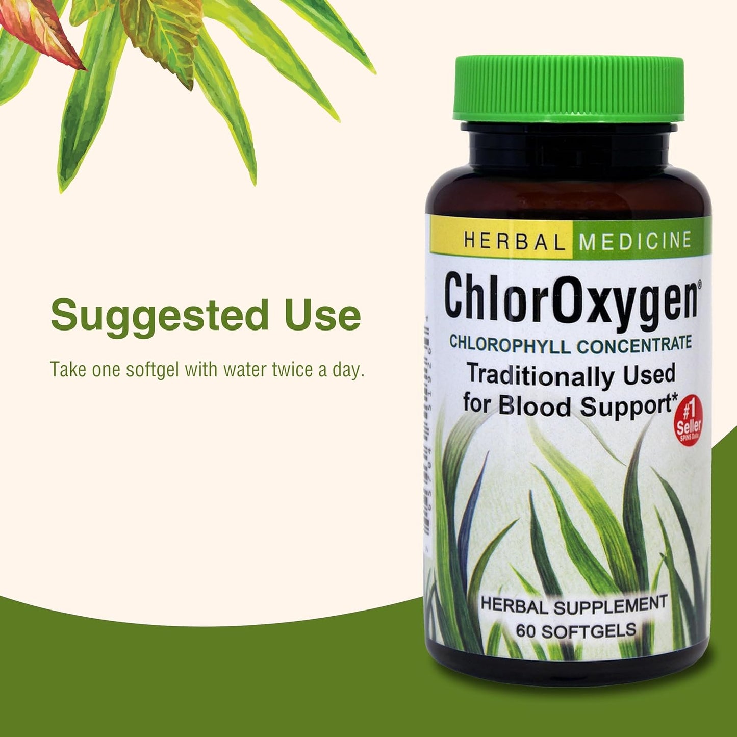 ChlorOxygen Chlorophyll Concentrate Softgels - Promotes Healthy Blood Flow & Energy - High-Altitude & Environmental Support - 60 Servings