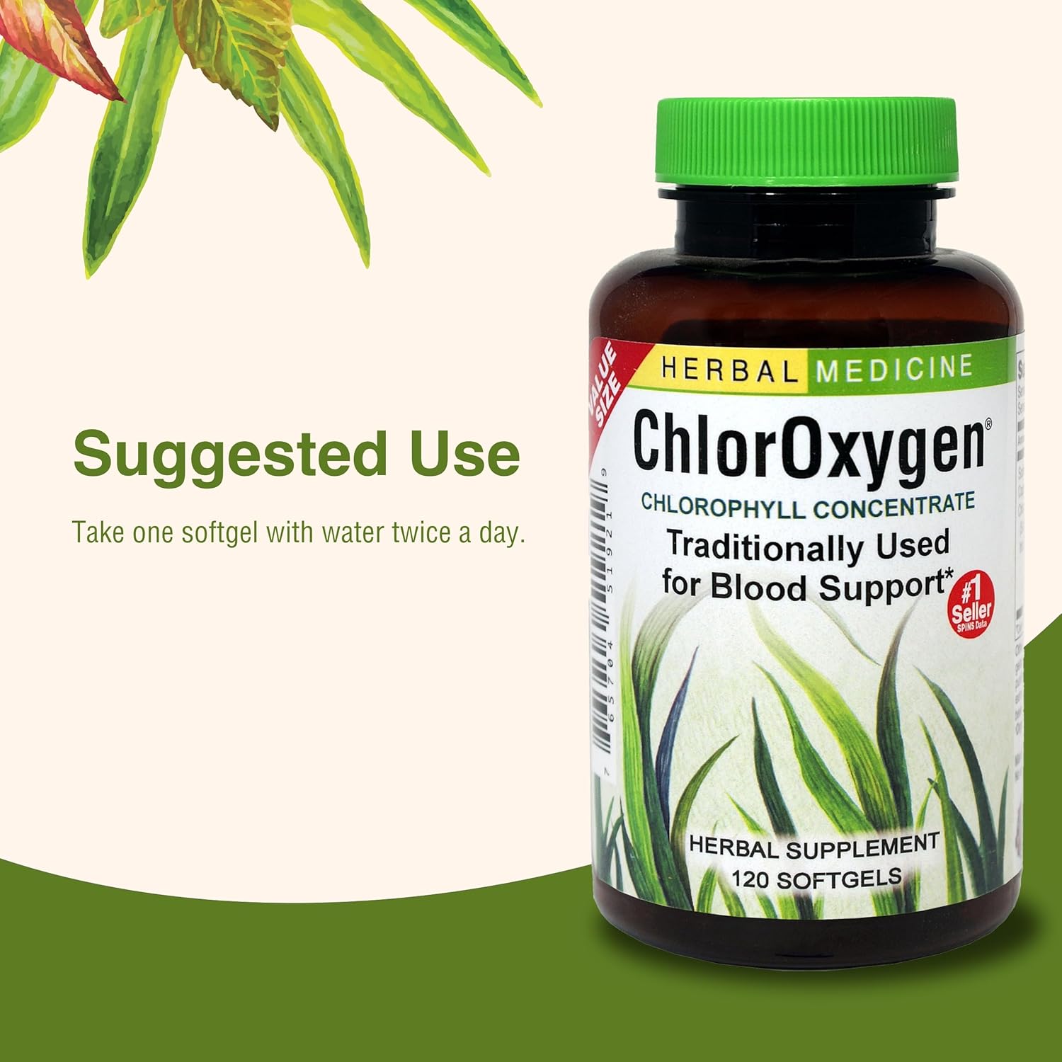 ChlorOxygen Chlorophyll Concentrate Softgels for Healthy Blood Circulation, High-Altitude & Energy Support - 120 Servings