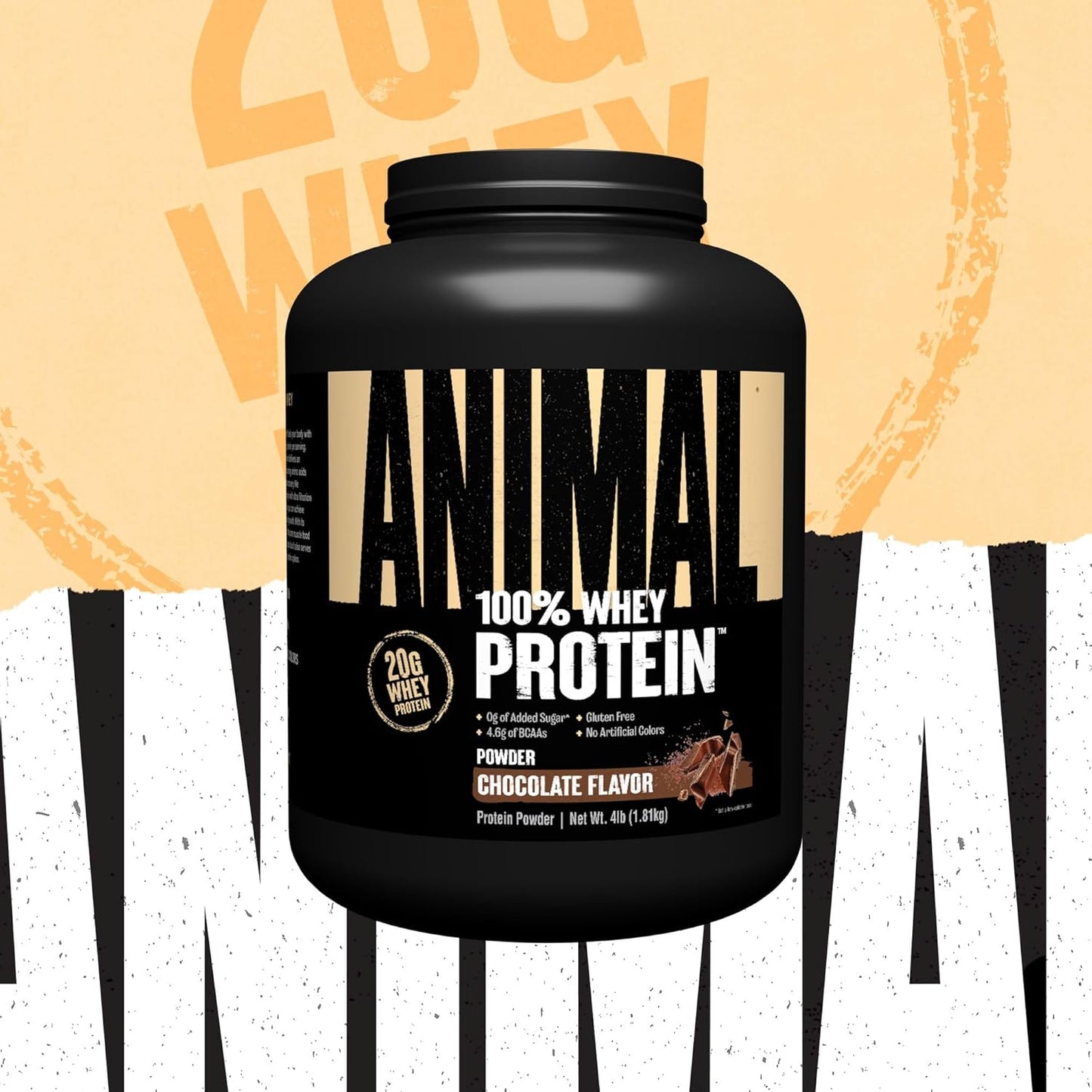 Chocolate Animal Whey Protein Powder: 100% Whey Blend for Pre/Post Workout, Recovery, Low Sugar Meal Replacement with BCAAs - 4 lb