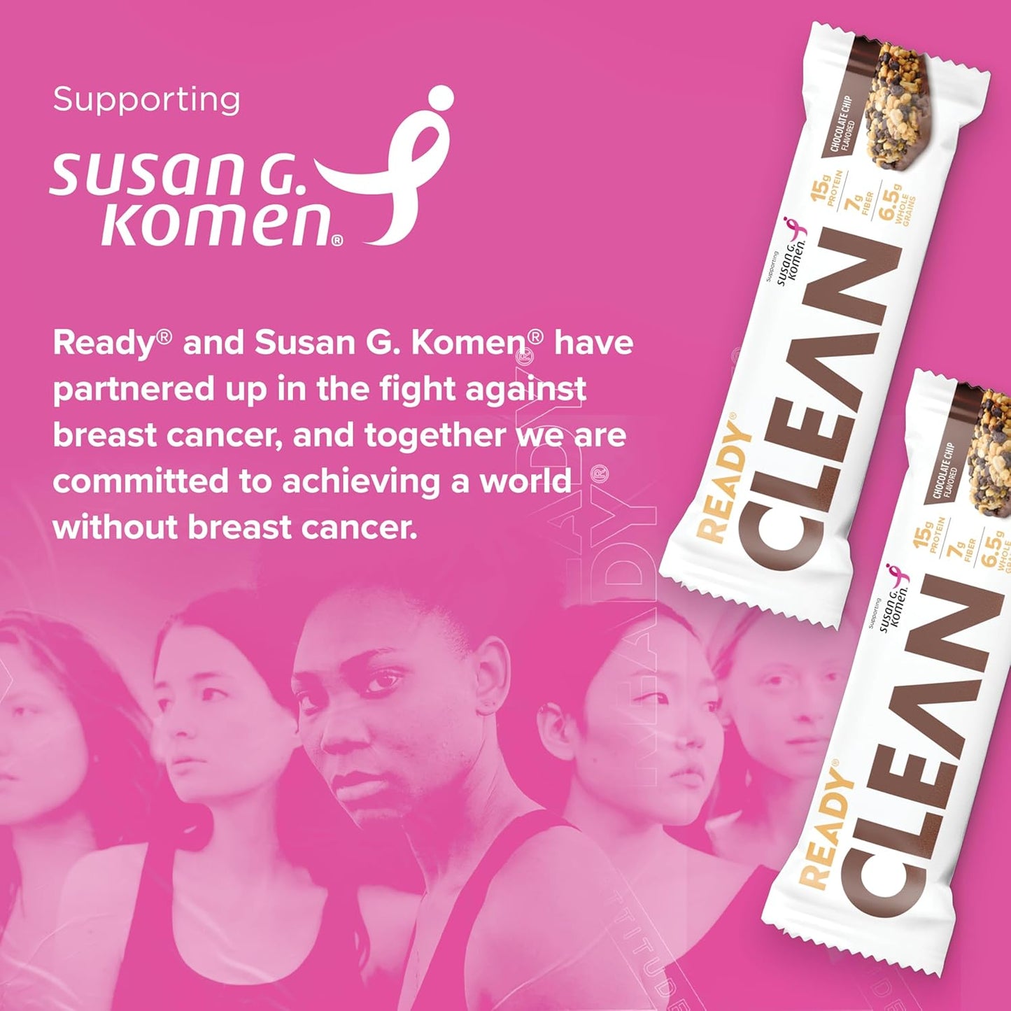 Chocolate Chip Ready-to-Eat Protein Bar - Generic Brand