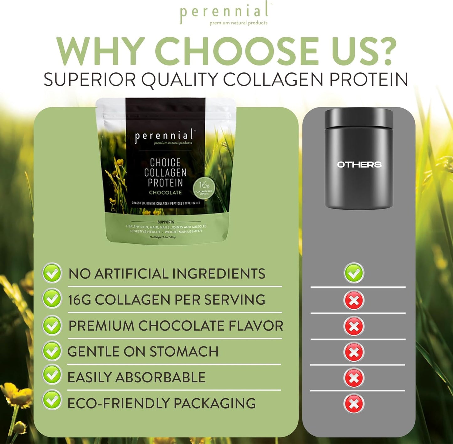 Chocolate Flavored Perennial Choice Collagen Protein Powder - Grass-Fed, Dairy-Free, Gluten-Free Formula for Skin, Joints, Muscle Recovery - 17g Protein per Serving - 20.5 oz