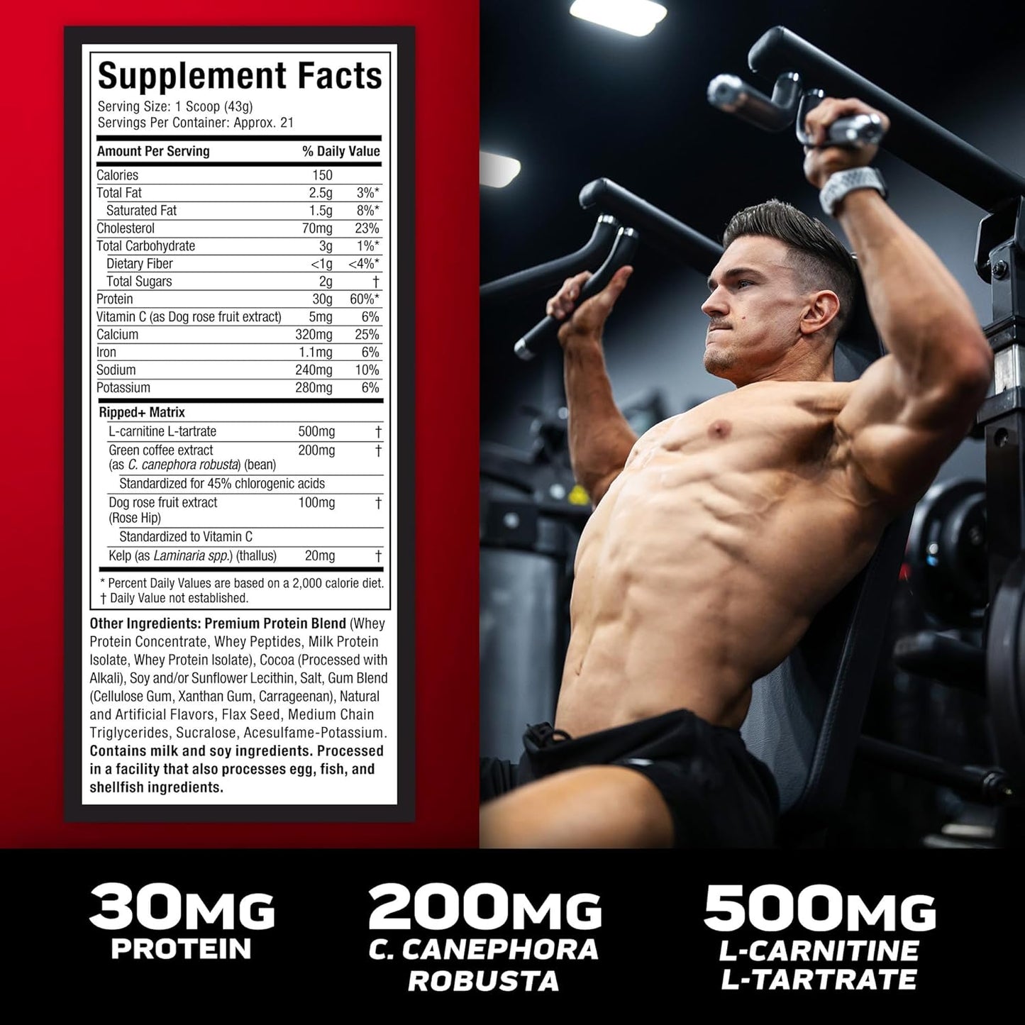 Chocolate Fudge Brownie Muscletech Whey Protein Powder - Nitro-Tech Ripped Isolate & Peptides Smoothie Mix - 30g Protein for Lean Muscle & Recovery