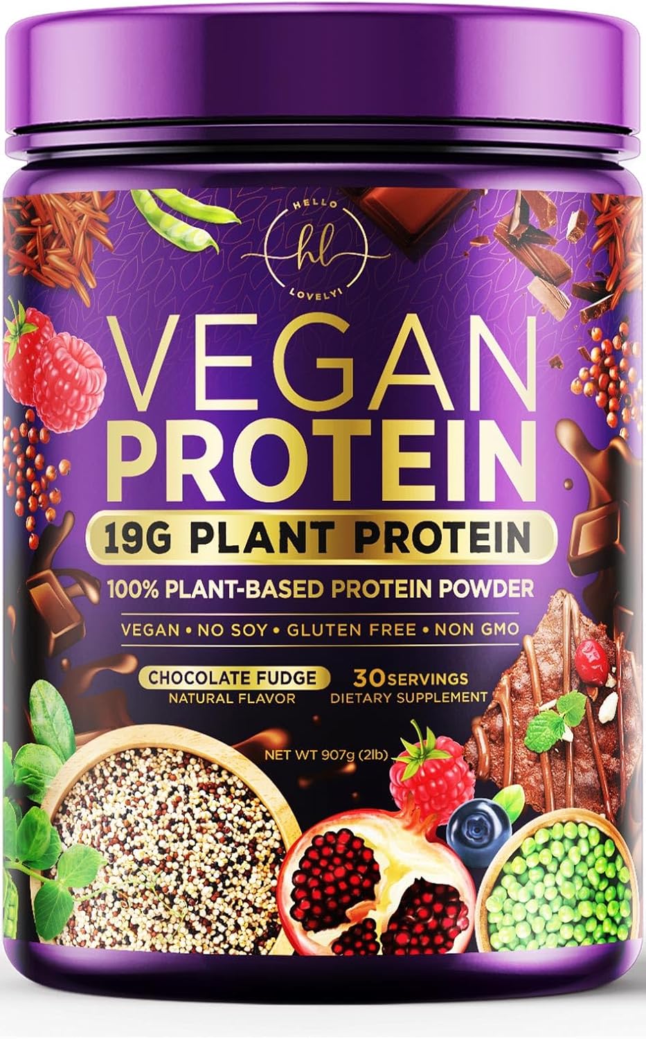 Chocolate Fudge Vegan Protein Powder - Plant-Based Isolate, Dairy-Free, Gluten-Free, Non-GMO, Easy Digestion, 2lb (30 Servings)