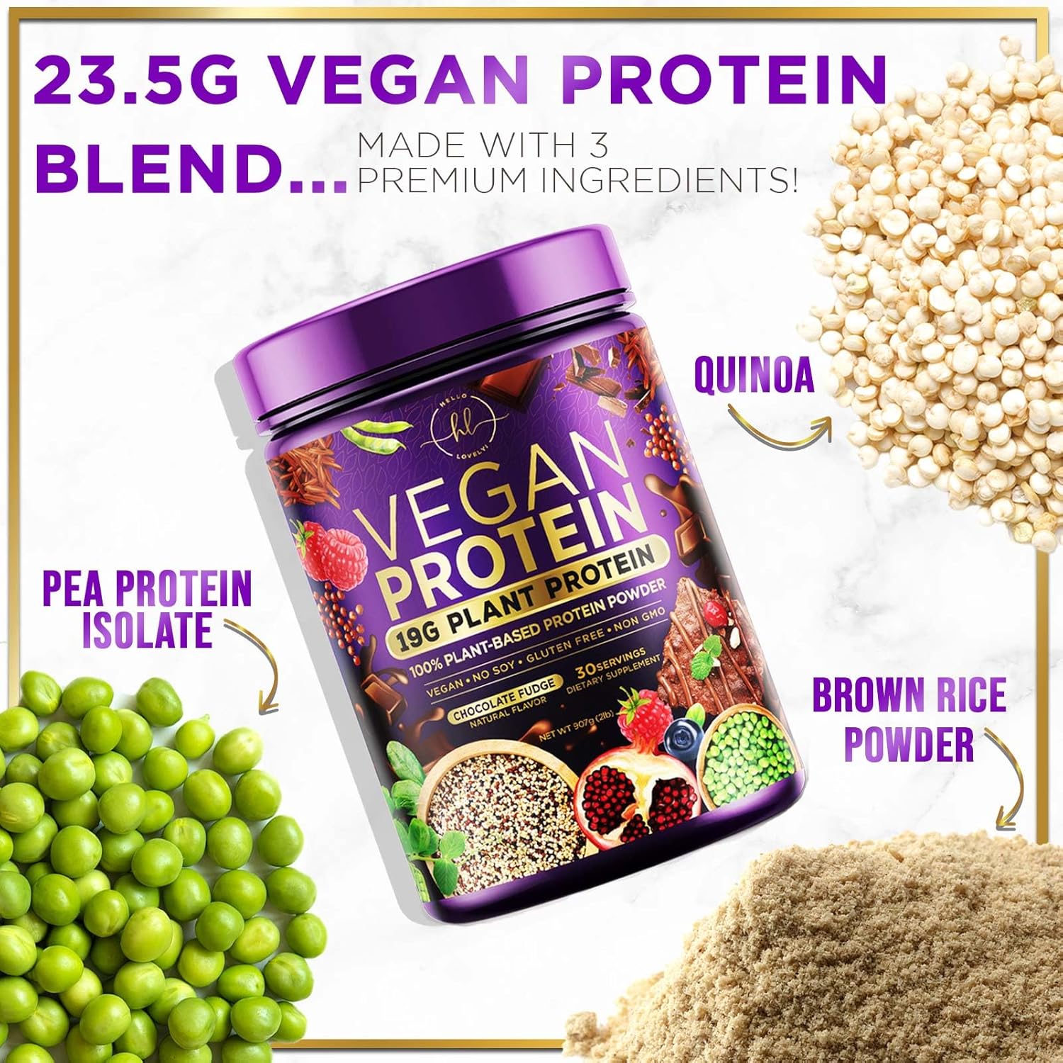 Chocolate Fudge Vegan Protein Powder - Plant-Based Isolate, Dairy-Free, Gluten-Free, Non-GMO, Easy Digestion, 2lb (30 Servings)