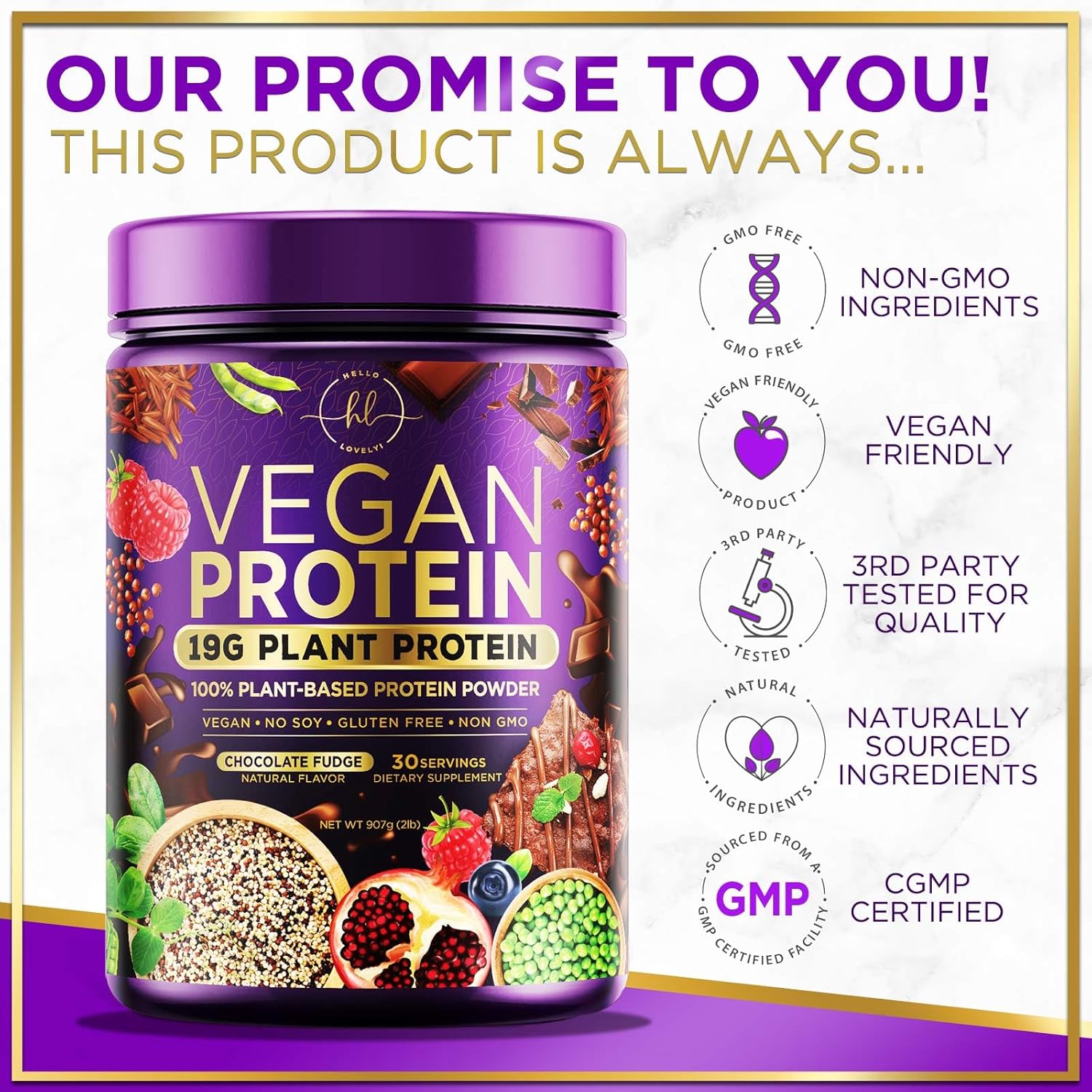 Chocolate Fudge Vegan Protein Powder - Plant-Based Isolate, Dairy-Free, Gluten-Free, Non-GMO, Easy Digestion, 2lb (30 Servings)