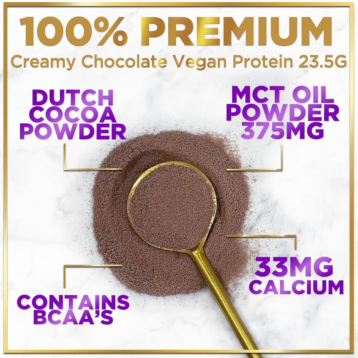 Chocolate Fudge Vegan Protein Powder - Plant-Based Isolate, Dairy-Free, Gluten-Free, Non-GMO, Easy Digestion, 2lb (30 Servings)