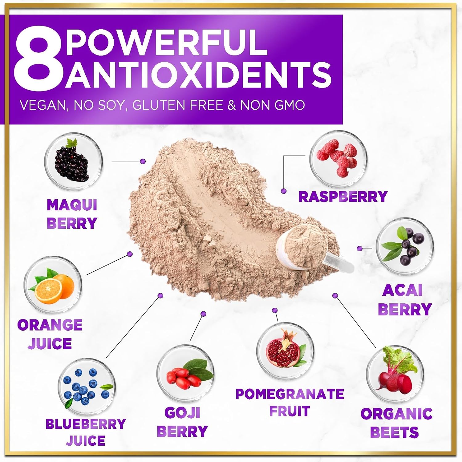 Chocolate Fudge Vegan Protein Powder - Plant-Based Isolate, Dairy-Free, Gluten-Free, Non-GMO, Easy Digestion, 2lb (30 Servings)