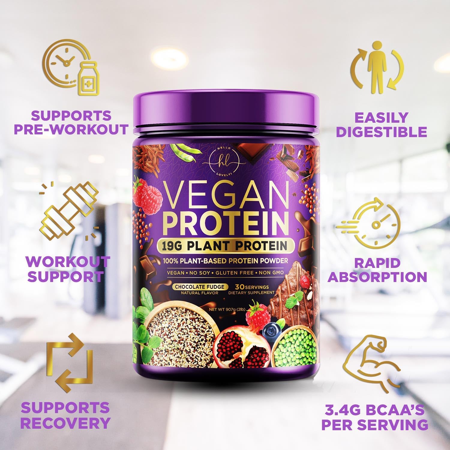 Chocolate Fudge Vegan Protein Powder - Plant-Based Isolate, Dairy-Free, Gluten-Free, Non-GMO, Easy Digestion, 2lb (30 Servings)