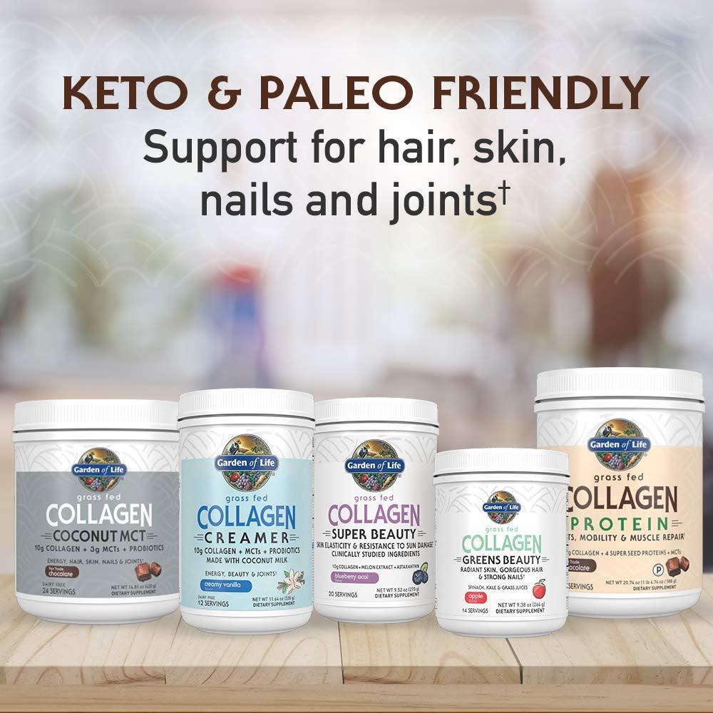 Chocolate Grass-Fed Collagen Creamer Powder - 12 Servings for Coffee Energy & Beauty - BoostGo Australia
