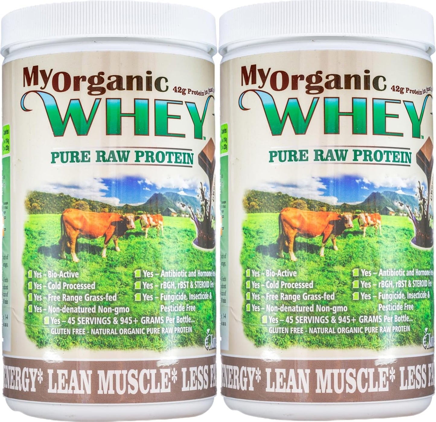Chocolate Natur-Pur Organic Grass-Fed Whey Protein Powder - Cold Processed Grade-A Milk, rBST Hormone-Free, No Preservatives - 42g Protein in 2 Scoops - 1lb 2 Pack