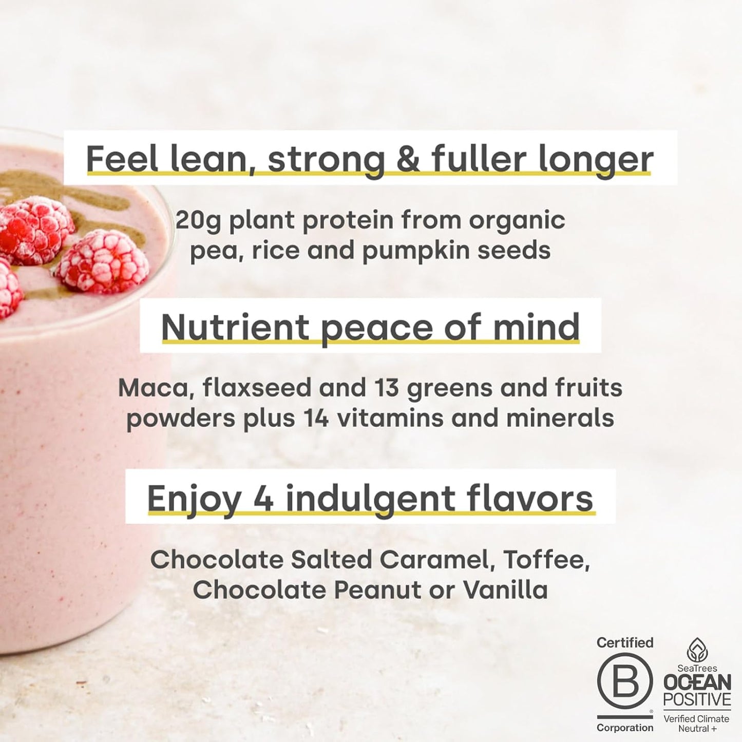 Chocolate Peanut Superblend Protein: Vegan Powder with Superfoods, Vitamins, and Minerals - 20g Plant-Based Protein/serv
