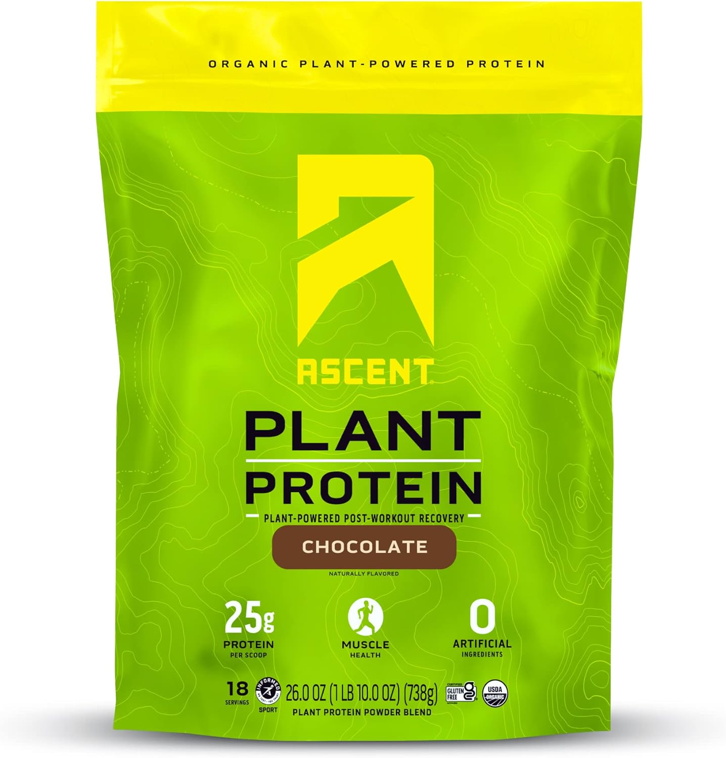 Chocolate Plant Based Protein Powder - Vegan, Dairy-Free, Soy & Gluten Free, No Artificial Ingredients, Zero Added Sugar, 4g BCAA, 2g Leucine - 18 Servings