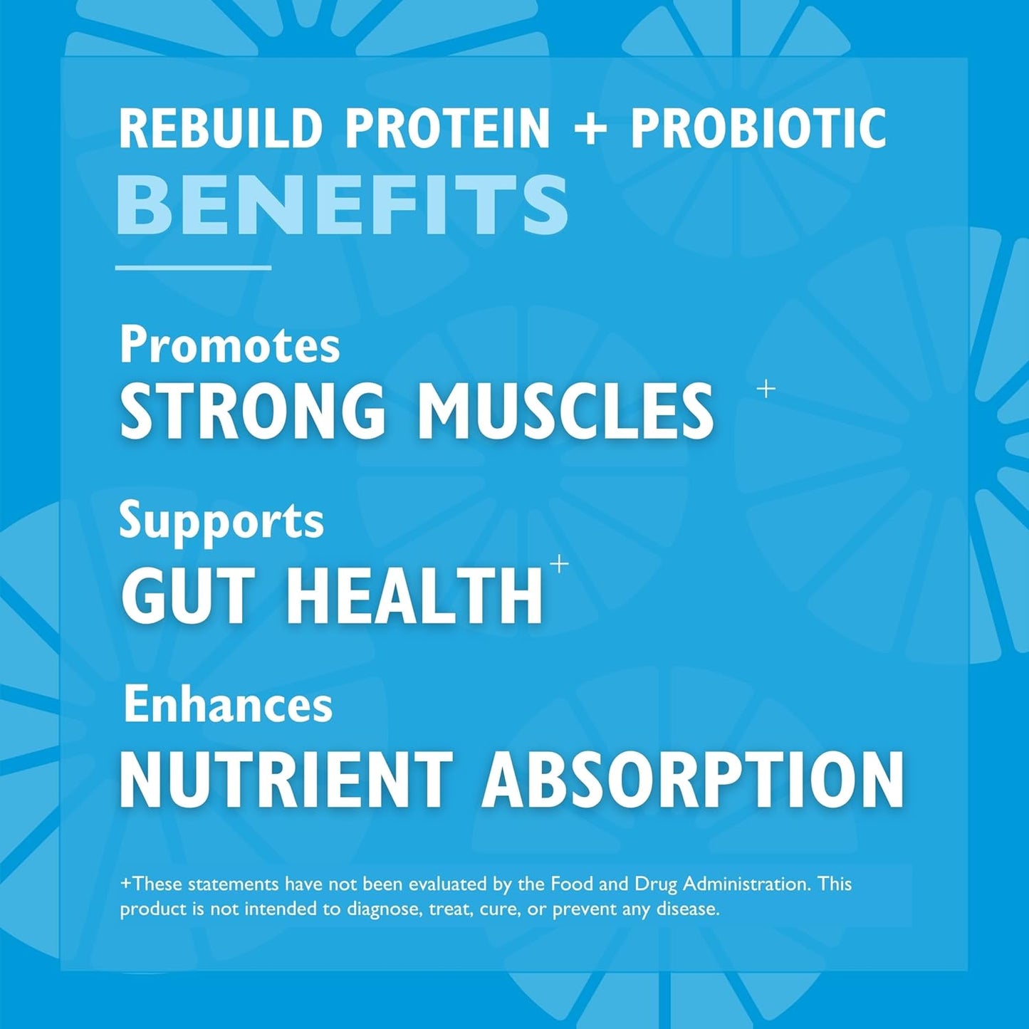 Chocolate Rebuild Protein Powder for Bariatric Surgery Patients - 20g Whey Isolate Protein with Probiotics & Prebiotics - High Fiber Supplement by Celebrate Vitamins (15 Servings)