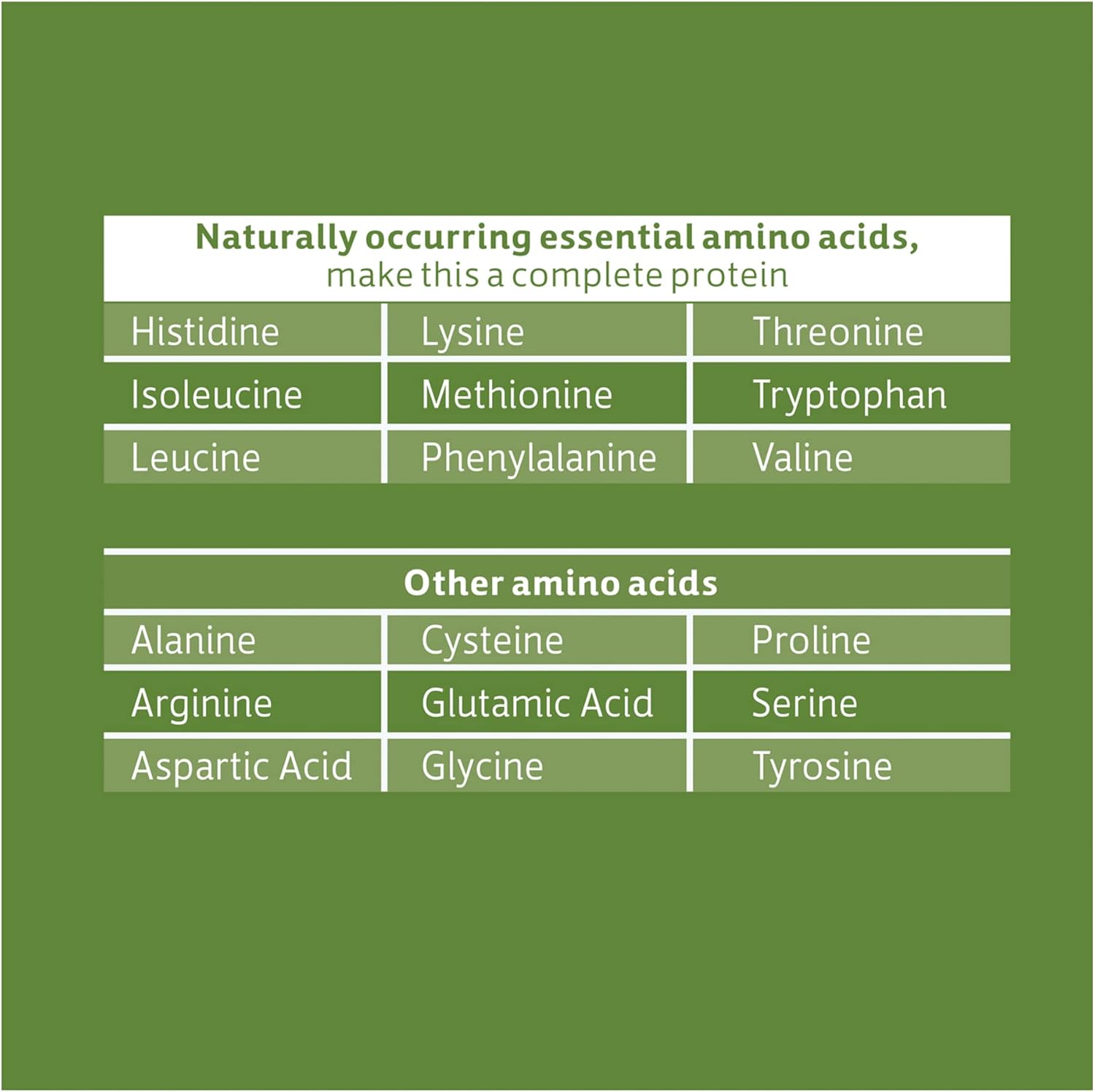 Chocolate Vegan Protein Powder 13.6 oz - Plant-Based Biochem Formula with 20g Protein for Muscle Support