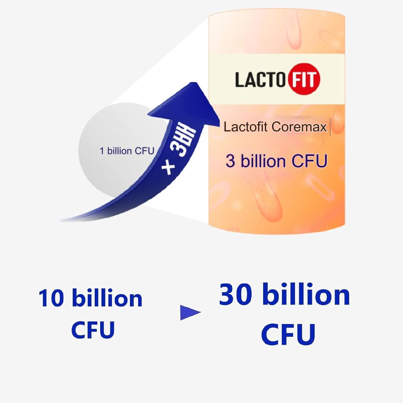 Chong-Kun-Dang CKD Lacto-Fit Probiotics Core Max Powder Sticks (60 Count) for Gut Health - BoostGo Australia