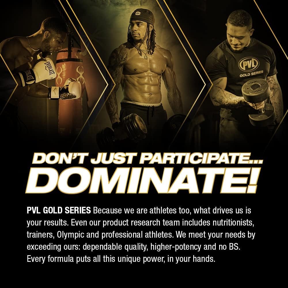 Clean Mass XL: PVL Gold Series - 5 LB Triple Chocolate Cake Muscle Mass Gainer