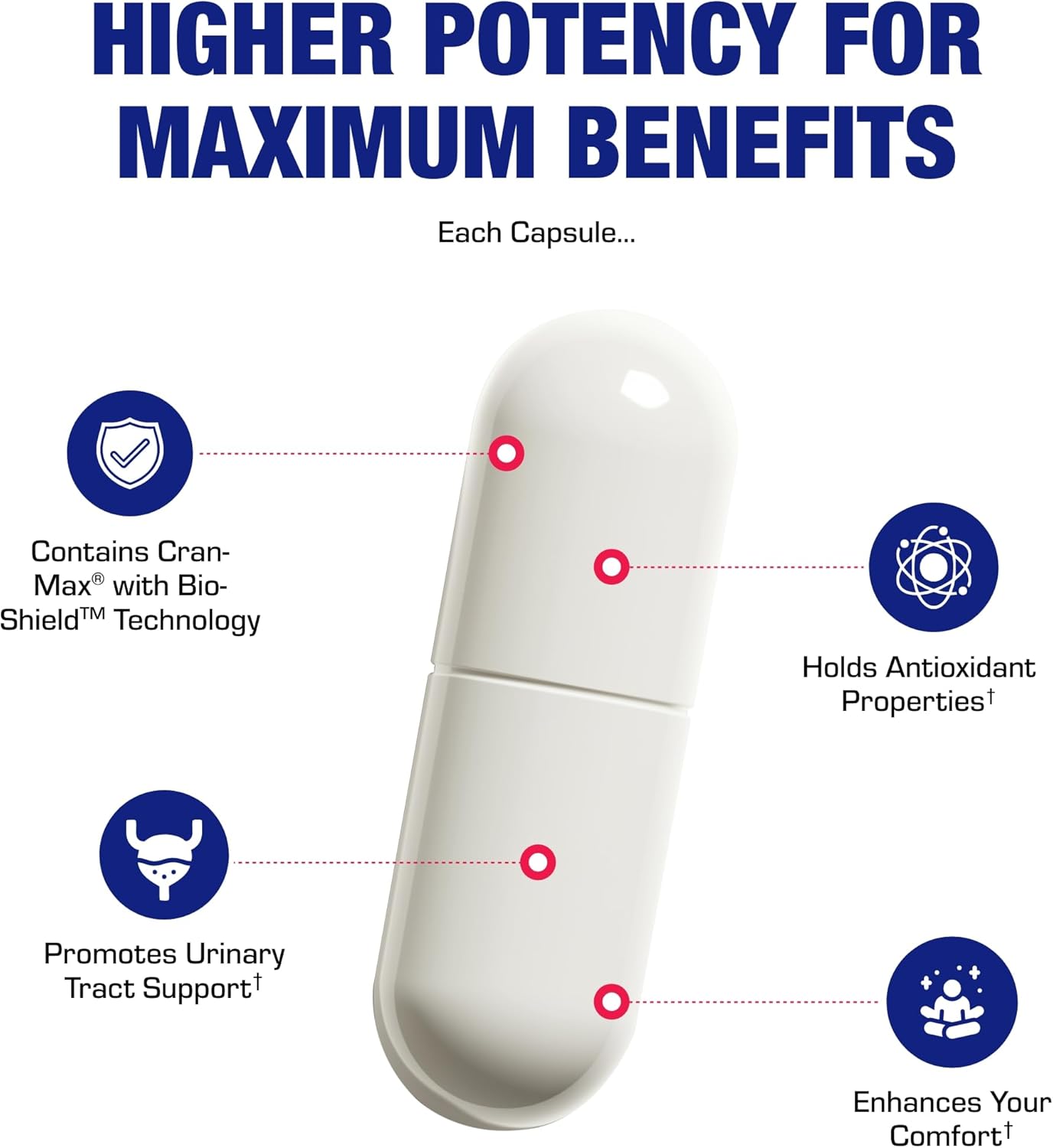 Clinical Strength Cranberry Capsules for Women - Supports Urinary Tract Health - Super Potent Vegan Formula - Non-GMO