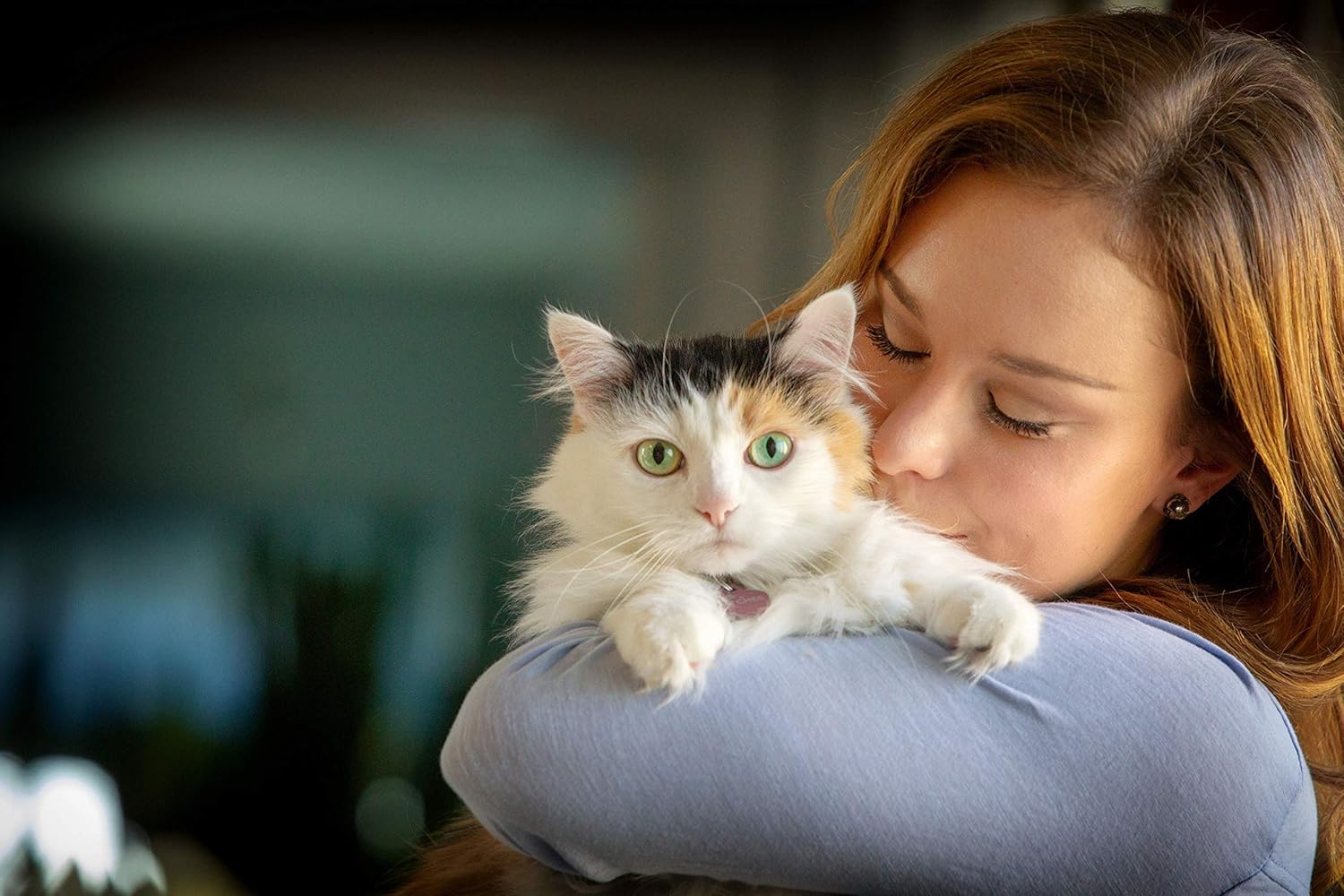 Clover Spry Cat Soft Chews with L-Lysine, Superfoods, Prebiotics - Daily Respiratory & Ocular Support for Strong Immune System - 2.1 oz (60 Count)