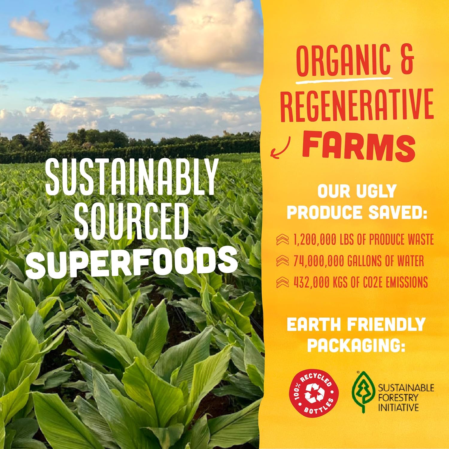 Cold-Pressed Turmeric and Ginger Immune Support Shot with Vitamin C - Vegan, Gluten Free, 2 Fl Oz (Pack of 12)