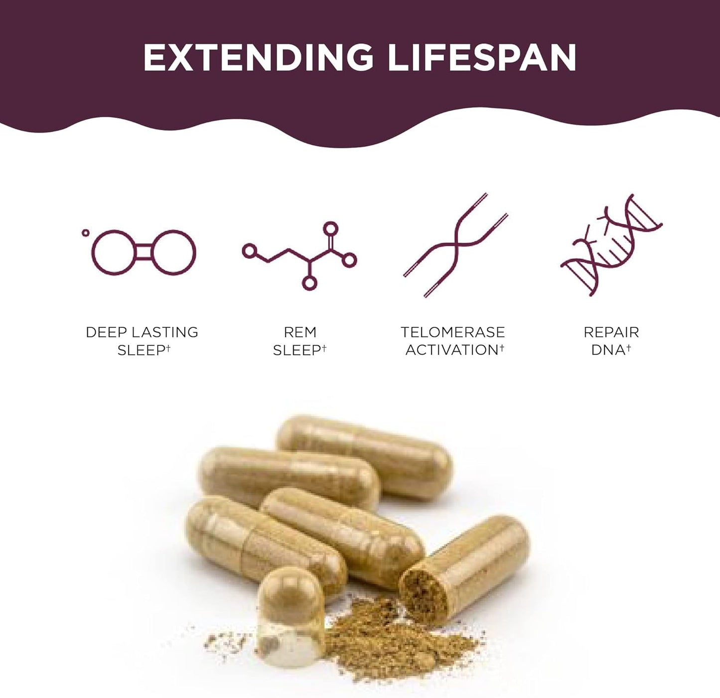 Complete Daily Multivitamin Bundle for Telomere Length & Anti-Aging | DNA Repair Supplements for Cell Health | Liquid Gel Formula with Essential Vitamins & Minerals