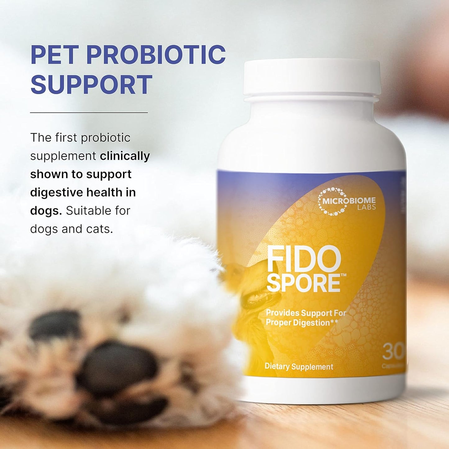 Complete Family Probiotic Bundle with MegaSporeBiotic, Probiotic Gummies, and FidoSpore Probiotics