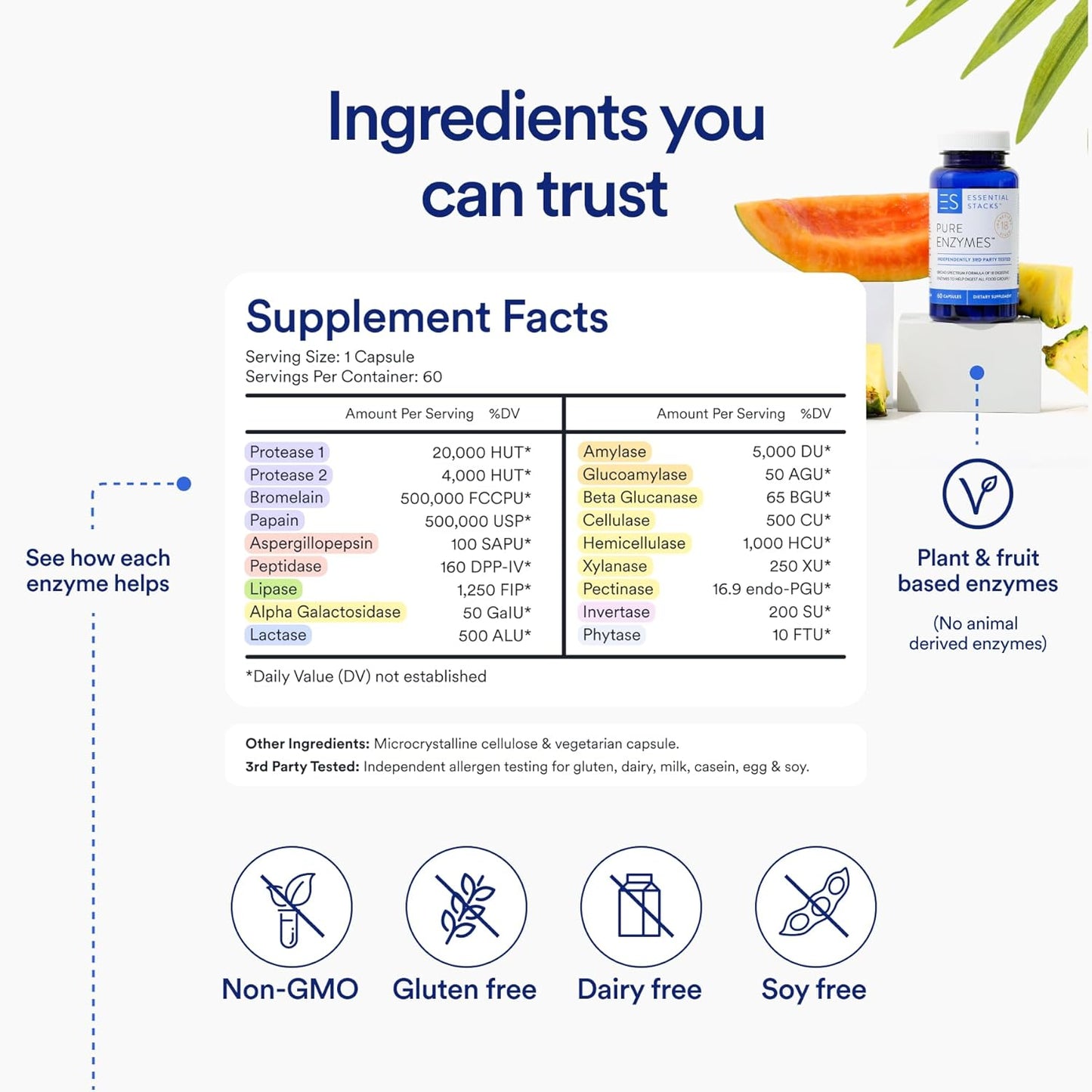 Complete Gut Health Bundle - L-Glutamine, Enzymes, Probiotics, Prebiotics, Betaine HCL for Digestive Wellness