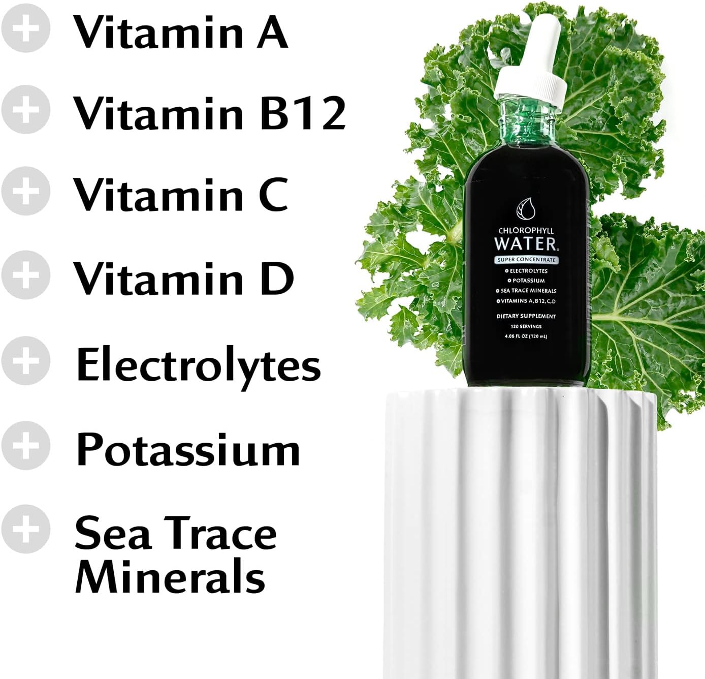 Concentrated Chlorophyll Water Drops with Electrolytes, Sea Minerals, and Antioxidants - 12,000mg Liquid Chlorophyll for Detox, Energy, and Immune Support