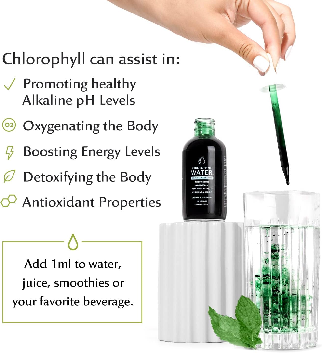 Concentrated Chlorophyll Water Drops with Electrolytes, Sea Minerals, and Antioxidants - 12,000mg Liquid Chlorophyll for Detox, Energy, and Immune Support