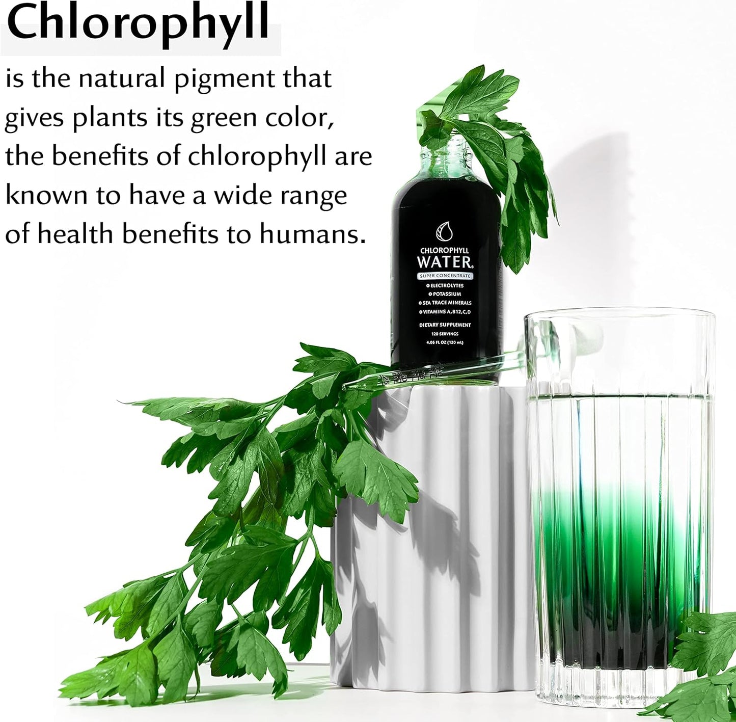 Concentrated Chlorophyll Water Drops with Electrolytes, Sea Minerals, and Antioxidants - 12,000mg Liquid Chlorophyll for Detox, Energy, and Immune Support