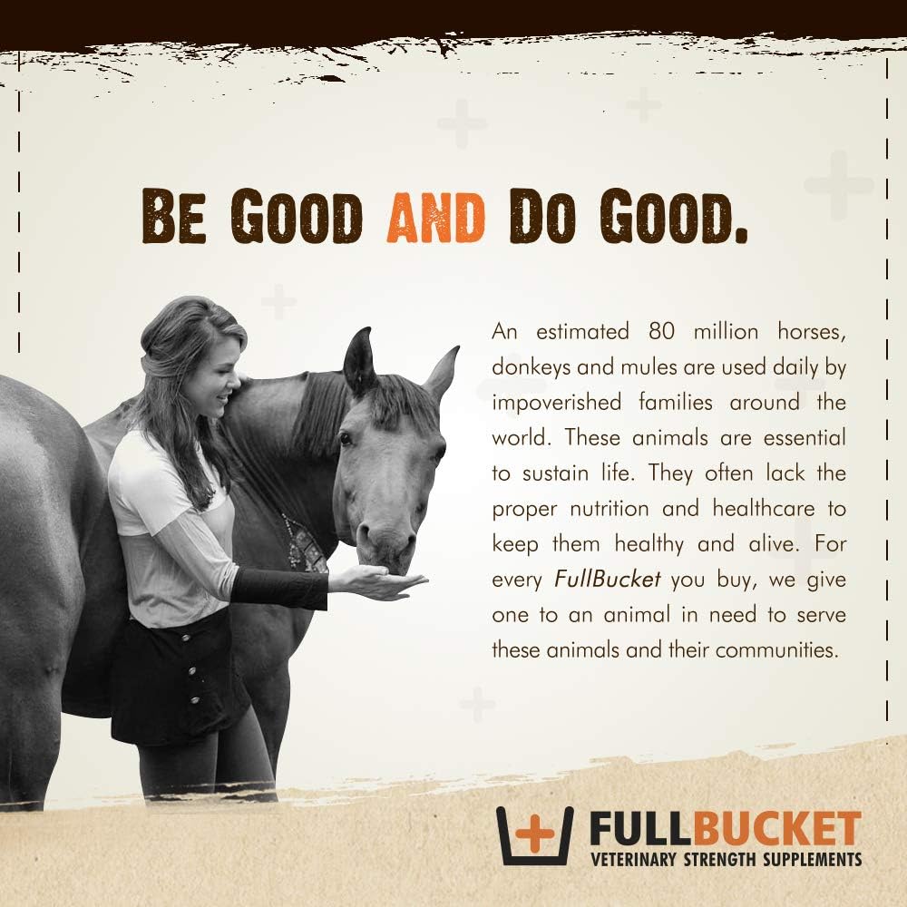 Concentrated FullBucket Equine Probiotic Paste 10-Pack with 100 Billion CFUs for Daily Digestive Optimization