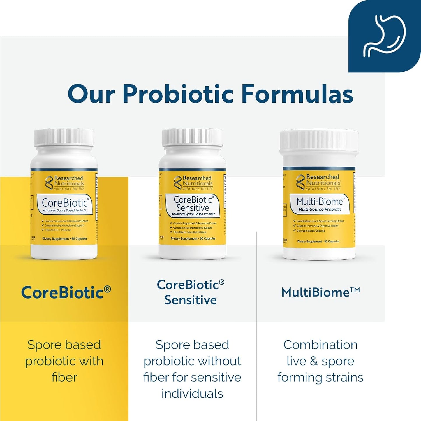 CoreBiotic Gut Health Supplements for Men & Women - 3 Spore-Based Probiotic Strains + Organic Prebiotic Fiber - 60 Capsules