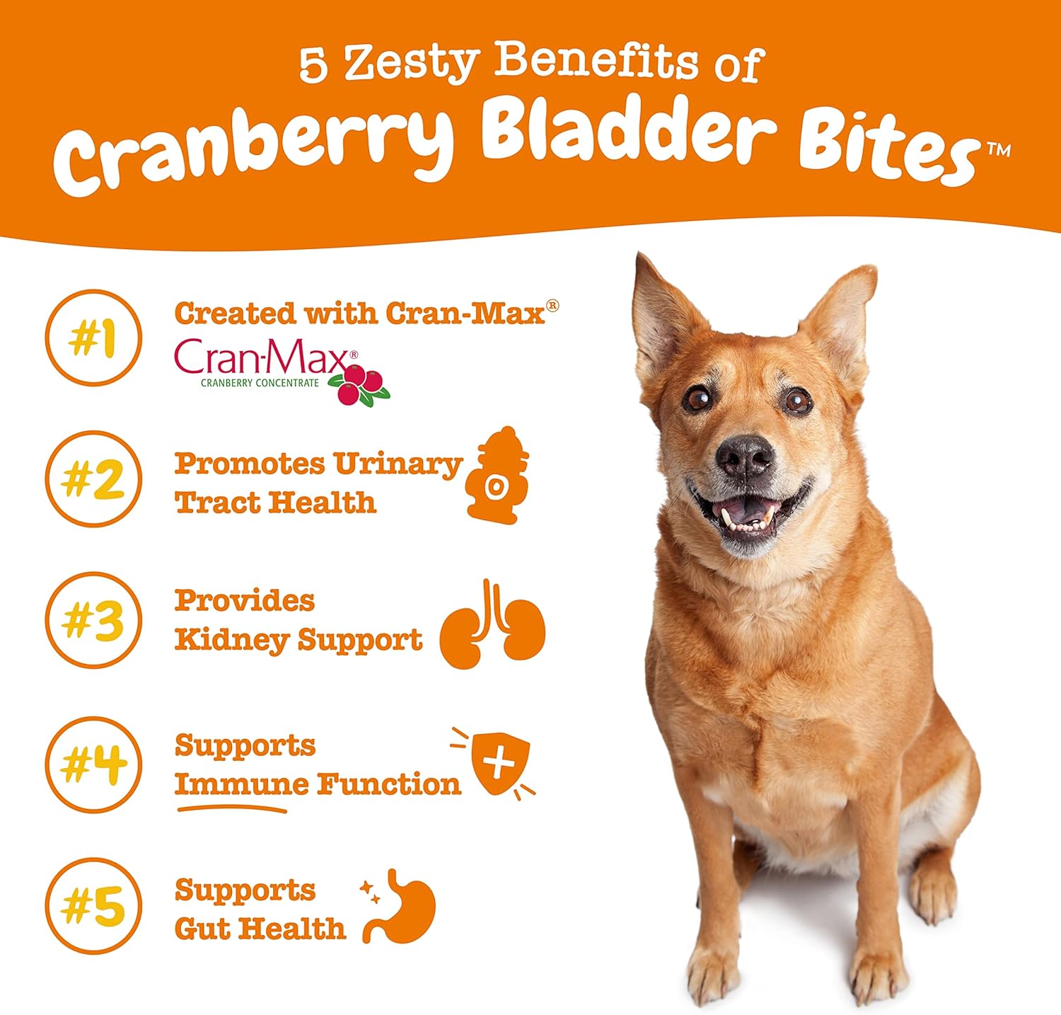 Cranberry Supplement for Dogs - Bladder & Urinary Tract Support - D-Mannose, Vitamin B6, L-Arginine - Immune & Gut Health - Bacon Chews - 90 Count