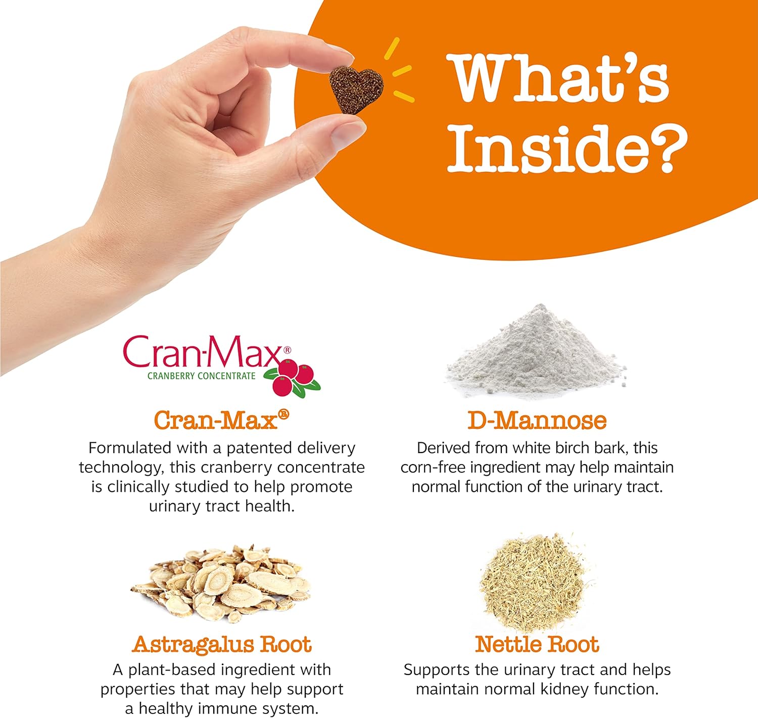 Cranberry Supplement for Dogs - Bladder & Urinary Tract Support - D-Mannose, Vitamin B6, L-Arginine - Immune & Gut Health - Bacon Chews - 90 Count