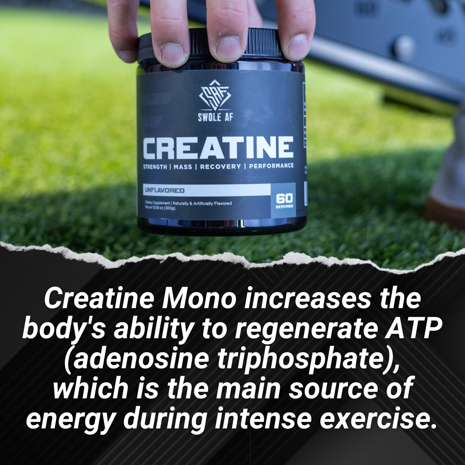 CREATINE Mono Supplement for Muscle Gain, Endurance, and Recovery - Pre & Post Workout for Strength and Power Boost