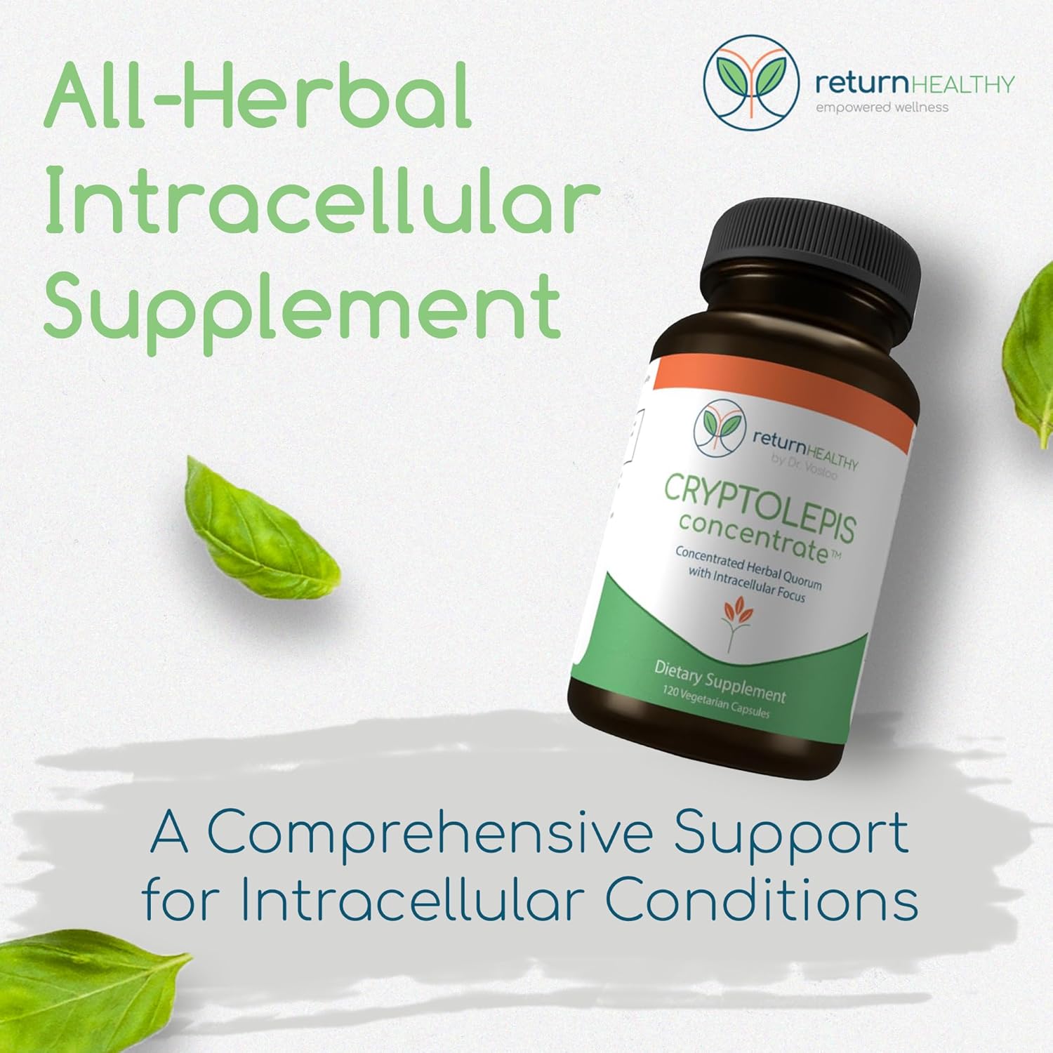 Cryptolepis Sanguinolenta Supplement for Immunity Boost - Concentrated Herbal Antioxidant with 120 Capsules - BoostGo Australia