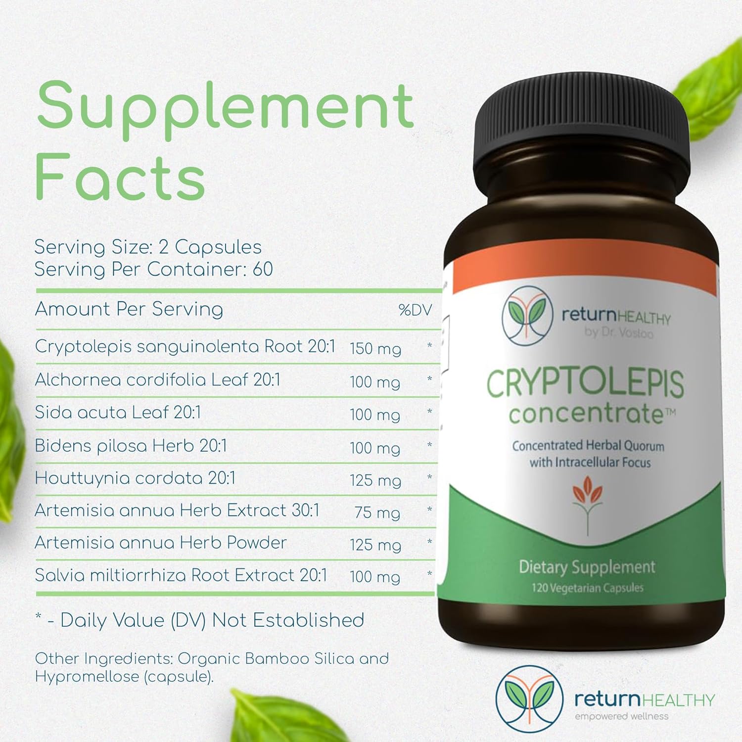 Cryptolepis Sanguinolenta Supplement for Immunity Boost - Concentrated Herbal Antioxidant with 120 Capsules - BoostGo Australia