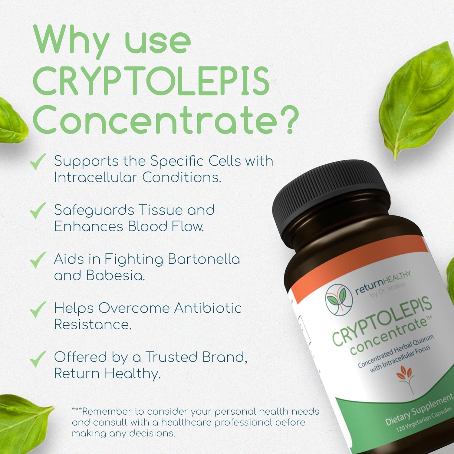 Cryptolepis Sanguinolenta Supplement for Immunity Boost - Concentrated Herbal Antioxidant with 120 Capsules - BoostGo Australia