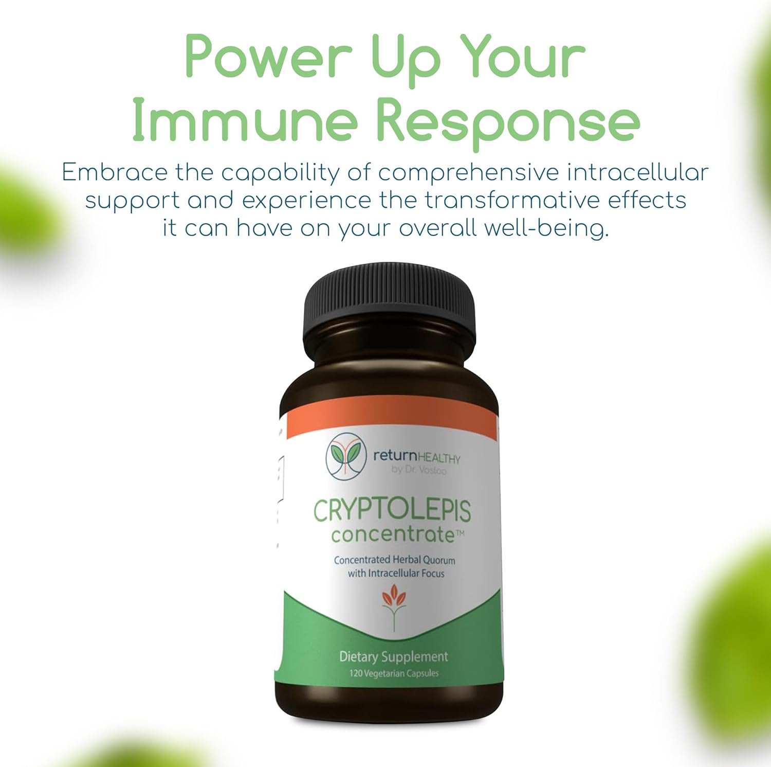 Cryptolepis Sanguinolenta Supplement for Immunity Boost - Concentrated Herbal Antioxidant with 120 Capsules - BoostGo Australia