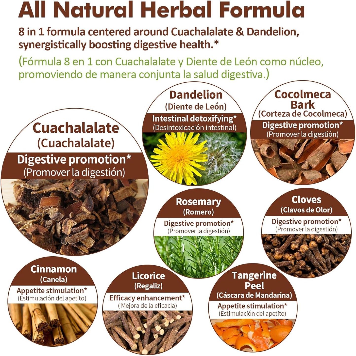 Cuachalalate & Corteza de Cocolmeca Digestive Health Drops - Gut Support Supplement with Cinnamon & Dandelion Extract Liquid - Bloating Relief & Detox Cleanse - 2oz