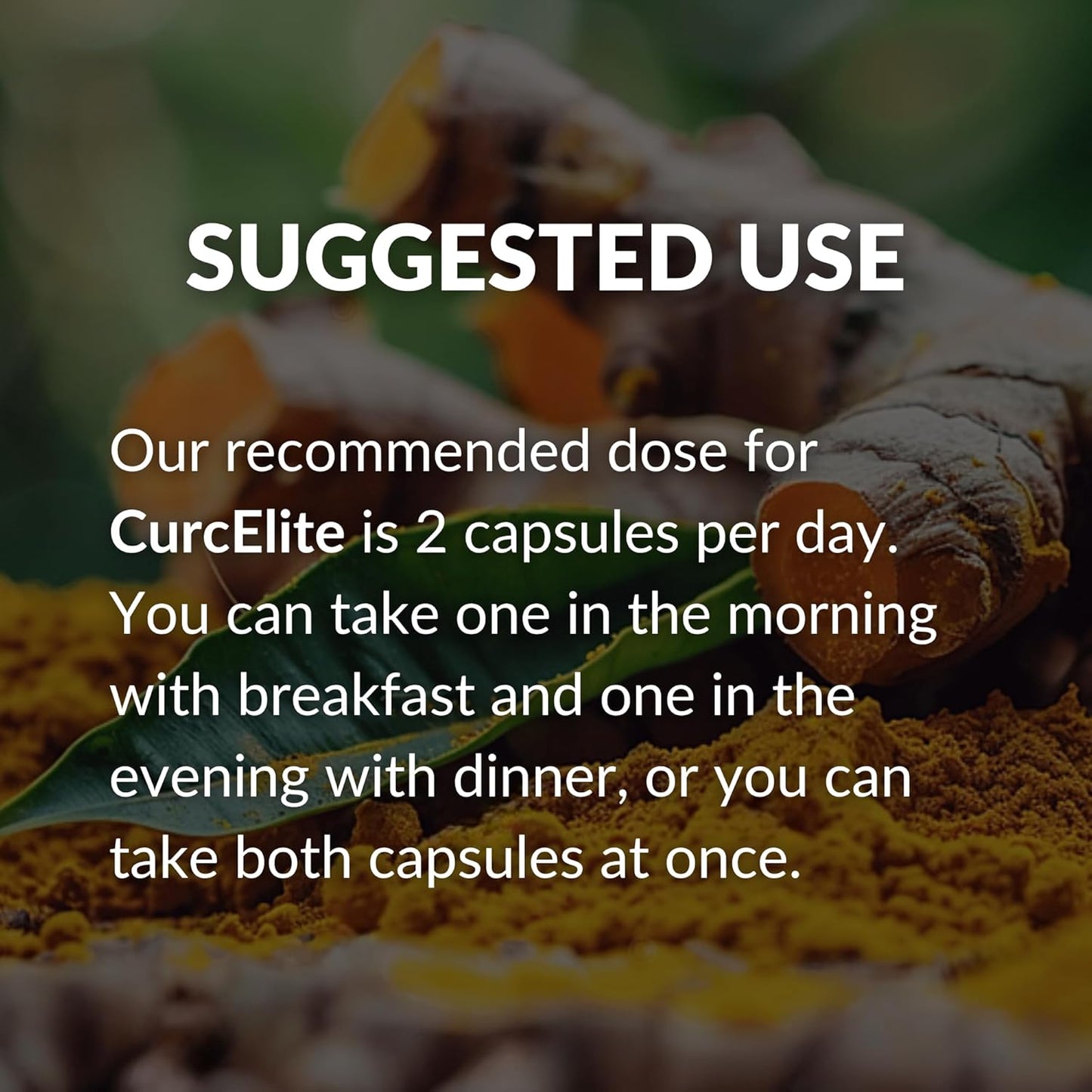 CurcElite Turmeric Extract Capsules - 95% Curcuminoids, Vegan, Non-GMO - 30 Servings
