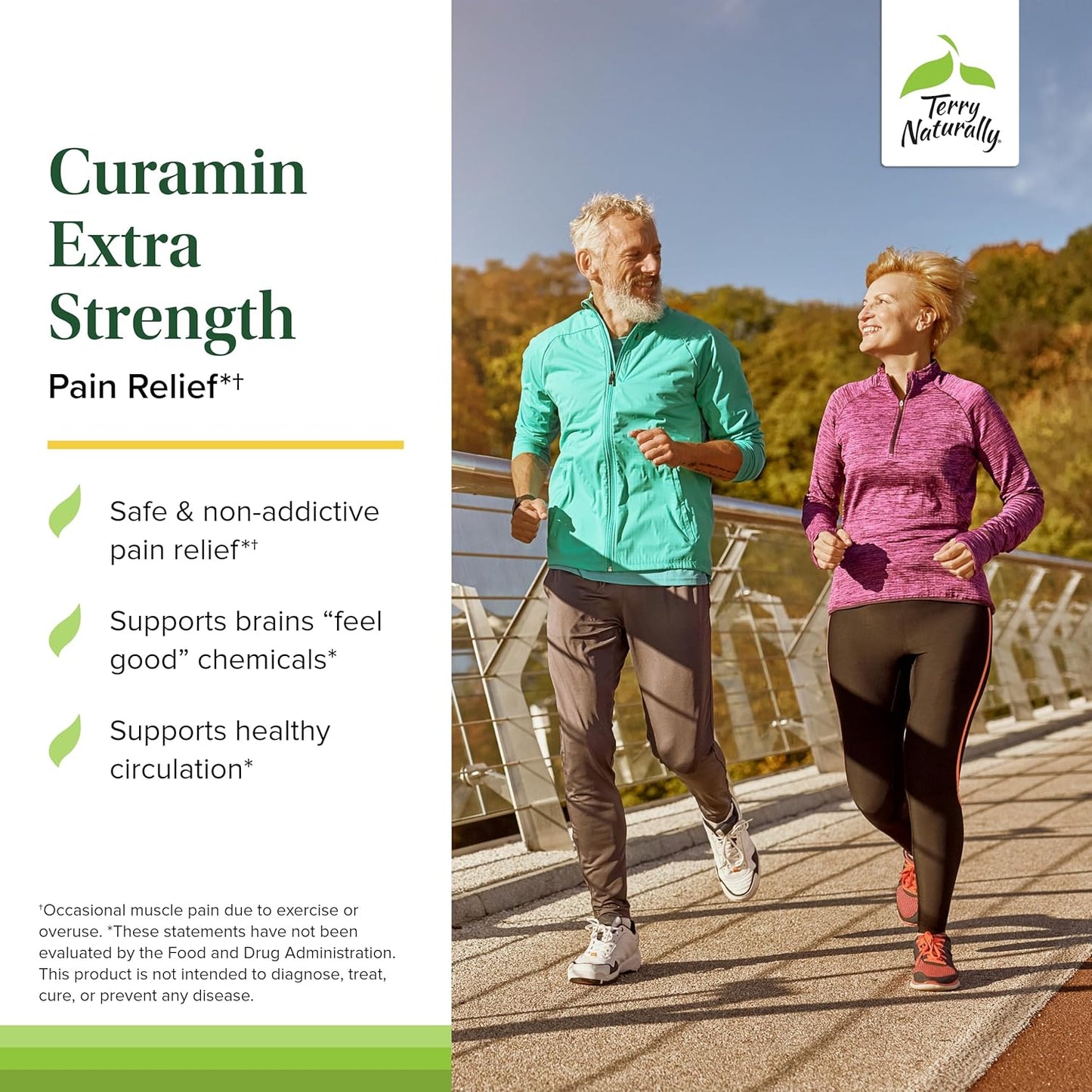 Curcumin & Boswellia Pain Relief Supplement - 360 Tablets, Vegan, Non-GMO - Terry Naturally Curamin Extra Strength - 120 Servings - BoostGo Australia