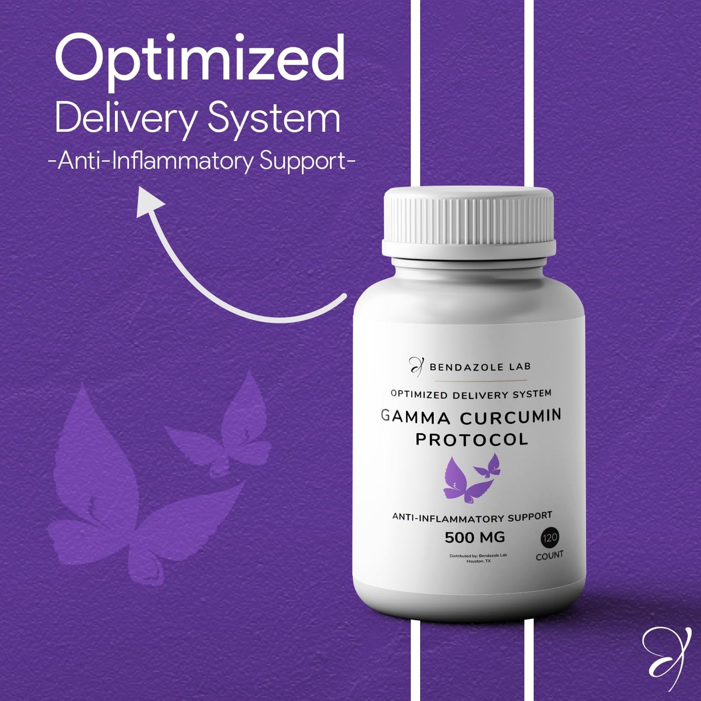 Curcumin-Gamma E Complex Supplement with Vitamin E and Black Pepper Extract - Antioxidant and Immune Support Protocol, 120 Capsules