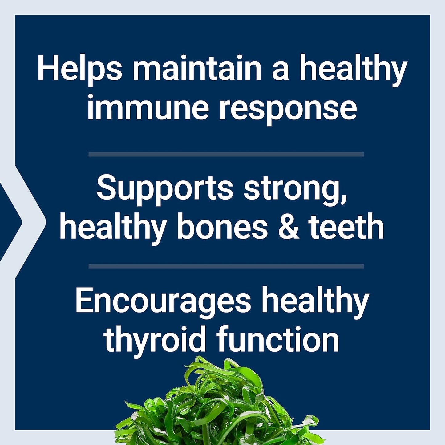 Curcumin, Vitamin D, K, and Sea-Iodine Capsules for Immune, Bone, Heart, and Thyroid Health - Life Extension