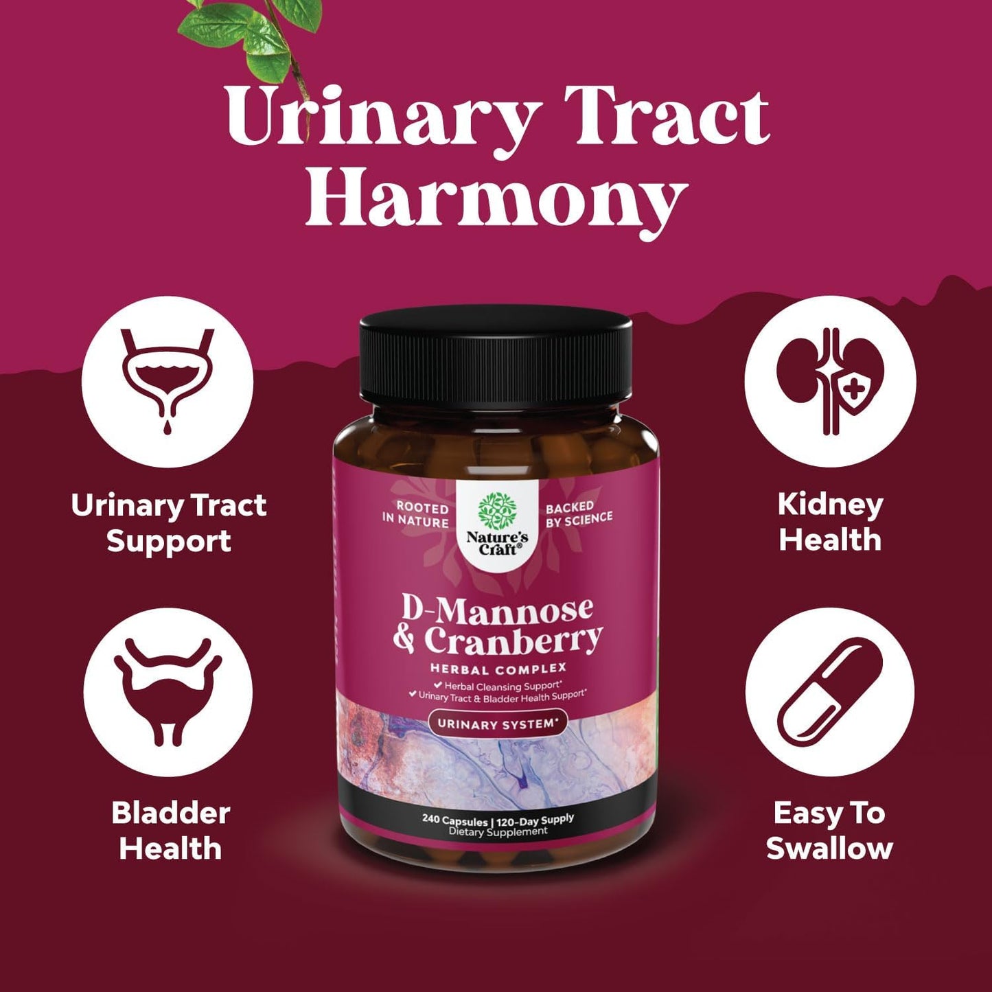 D-Mannose with Cranberry Extract Capsules - 1000mg per Serving - Kidney Cleanse and UTI Support for Women - 4 Month Supply