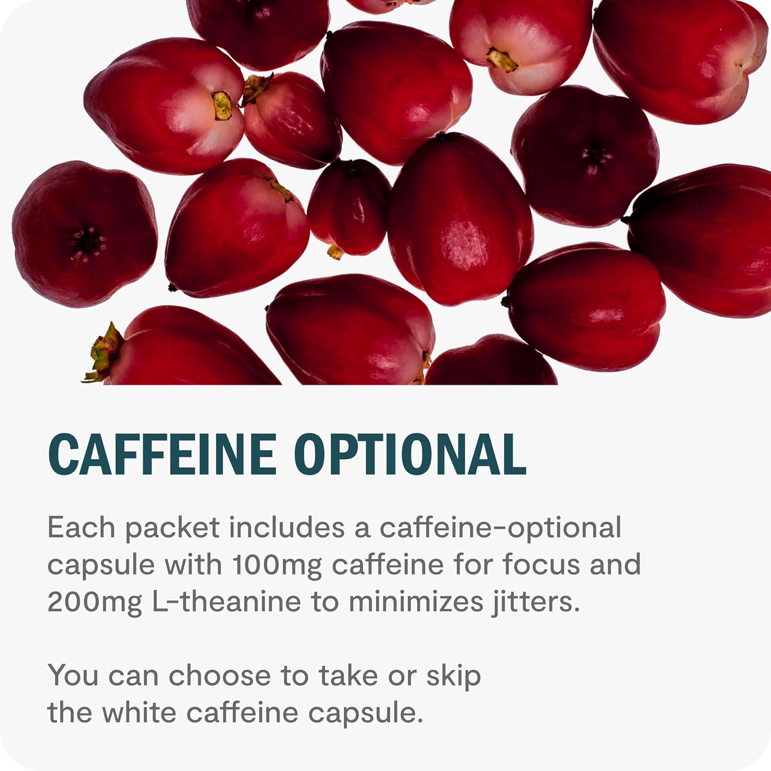 Daily Brain Support Supplements with Nootropics - Lion's Mane & Alpha GPC for Focus & Clarity (24 Servings)