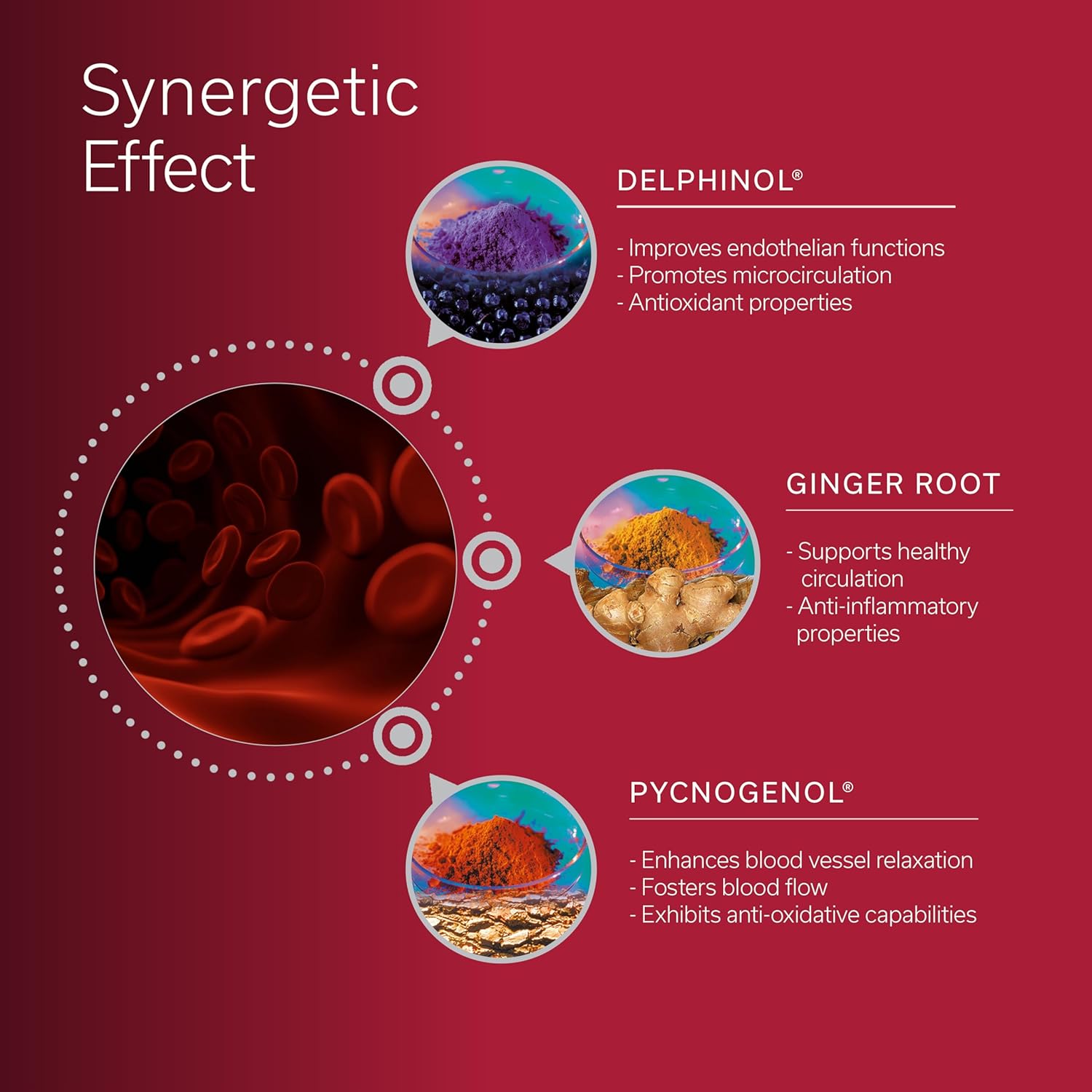 Daily Circulation Support Supplement with Antioxidant Powerhouse - Maqui Berry, Ginger, Pycnogenol - 30 Vegan Capsules for Inflammation & Blood Sugar