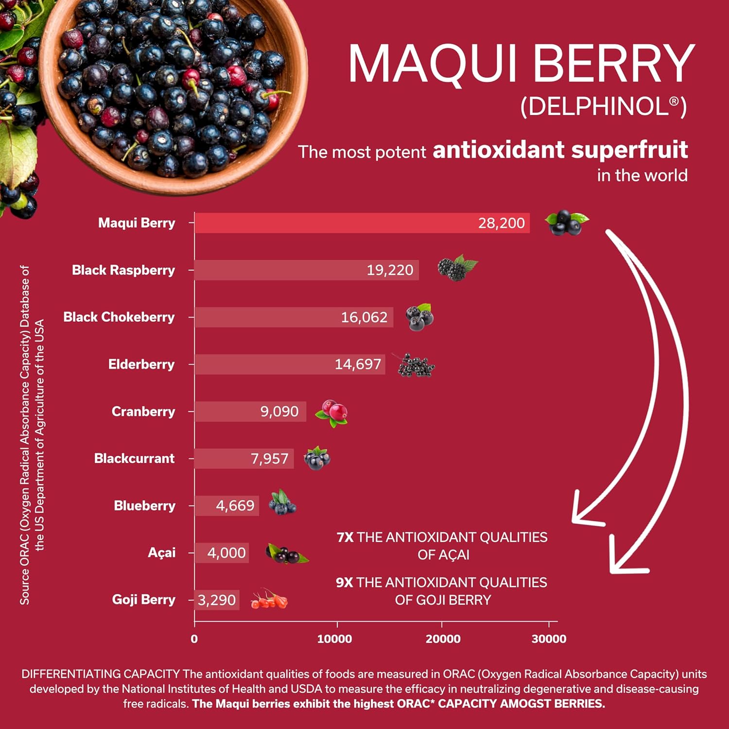 Daily Circulation Support Supplement with Antioxidant Powerhouse - Maqui Berry, Ginger, Pycnogenol - 30 Vegan Capsules for Inflammation & Blood Sugar